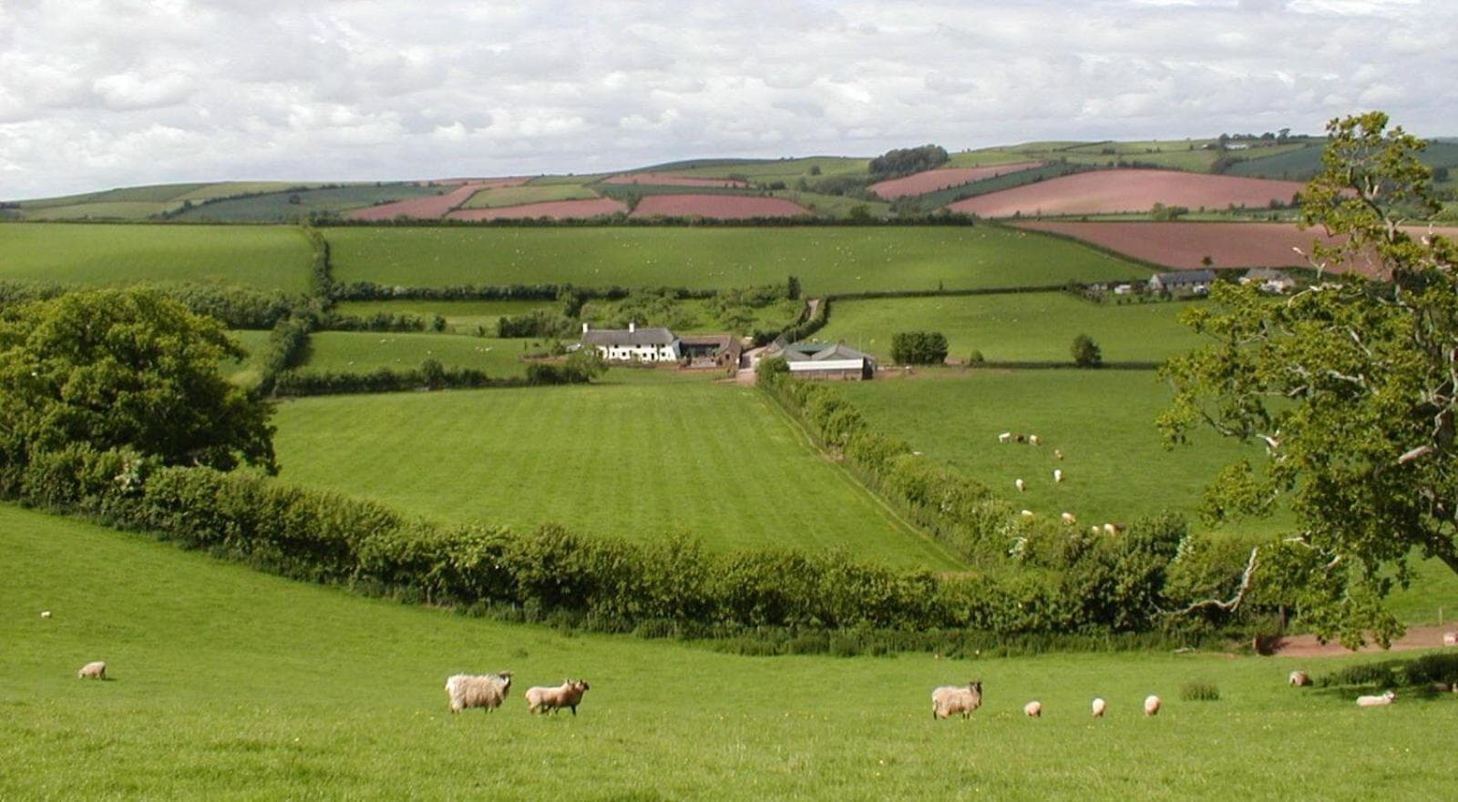 Combe Lancey Farmhouse B&B photo 2