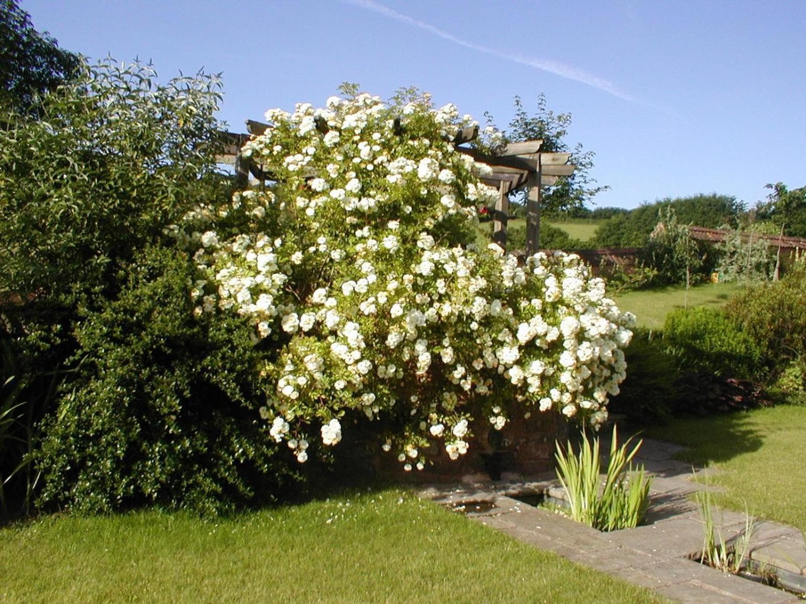 Combe Lancey Farmhouse B&B photo 9