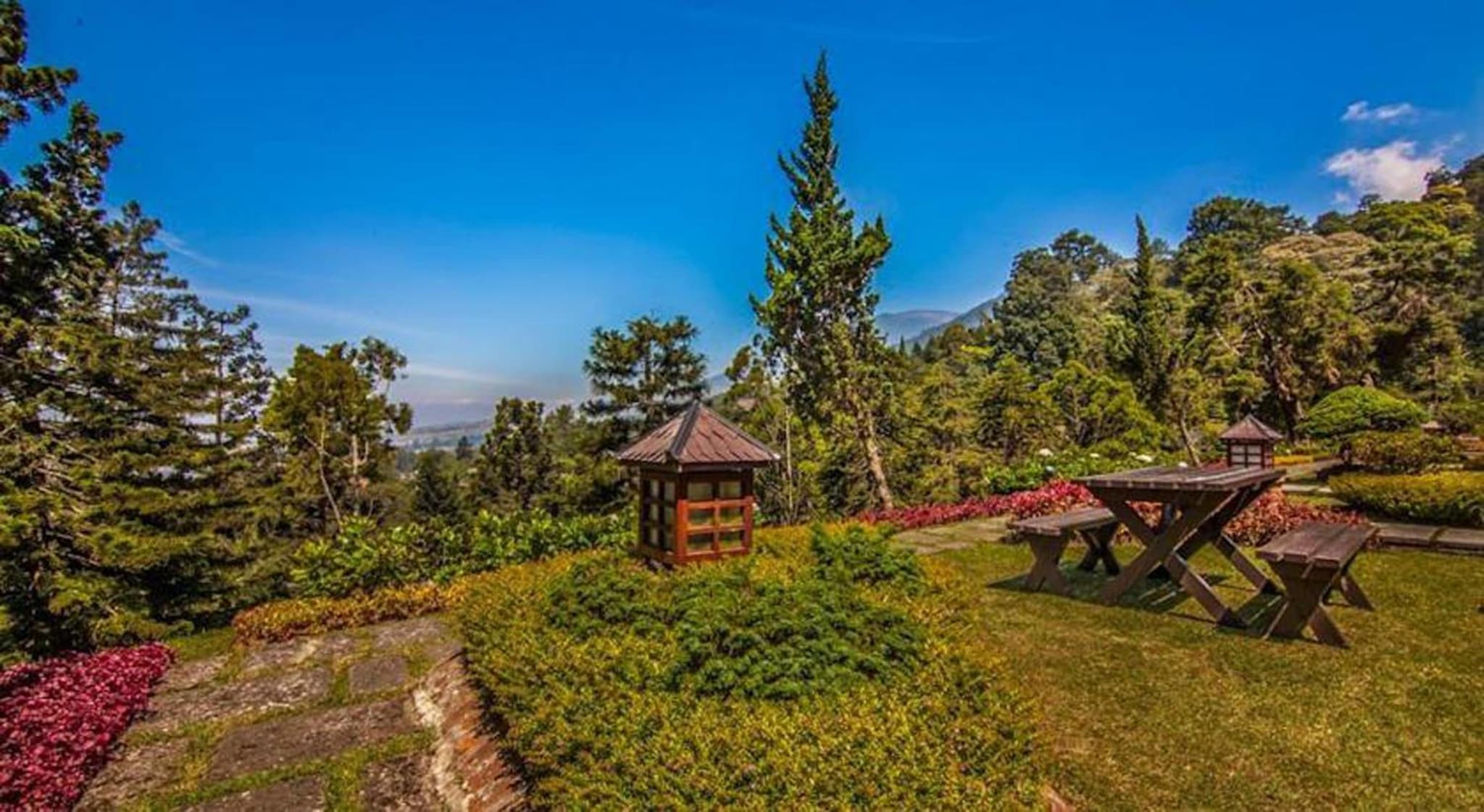 Puncak Pass Resort photo 5