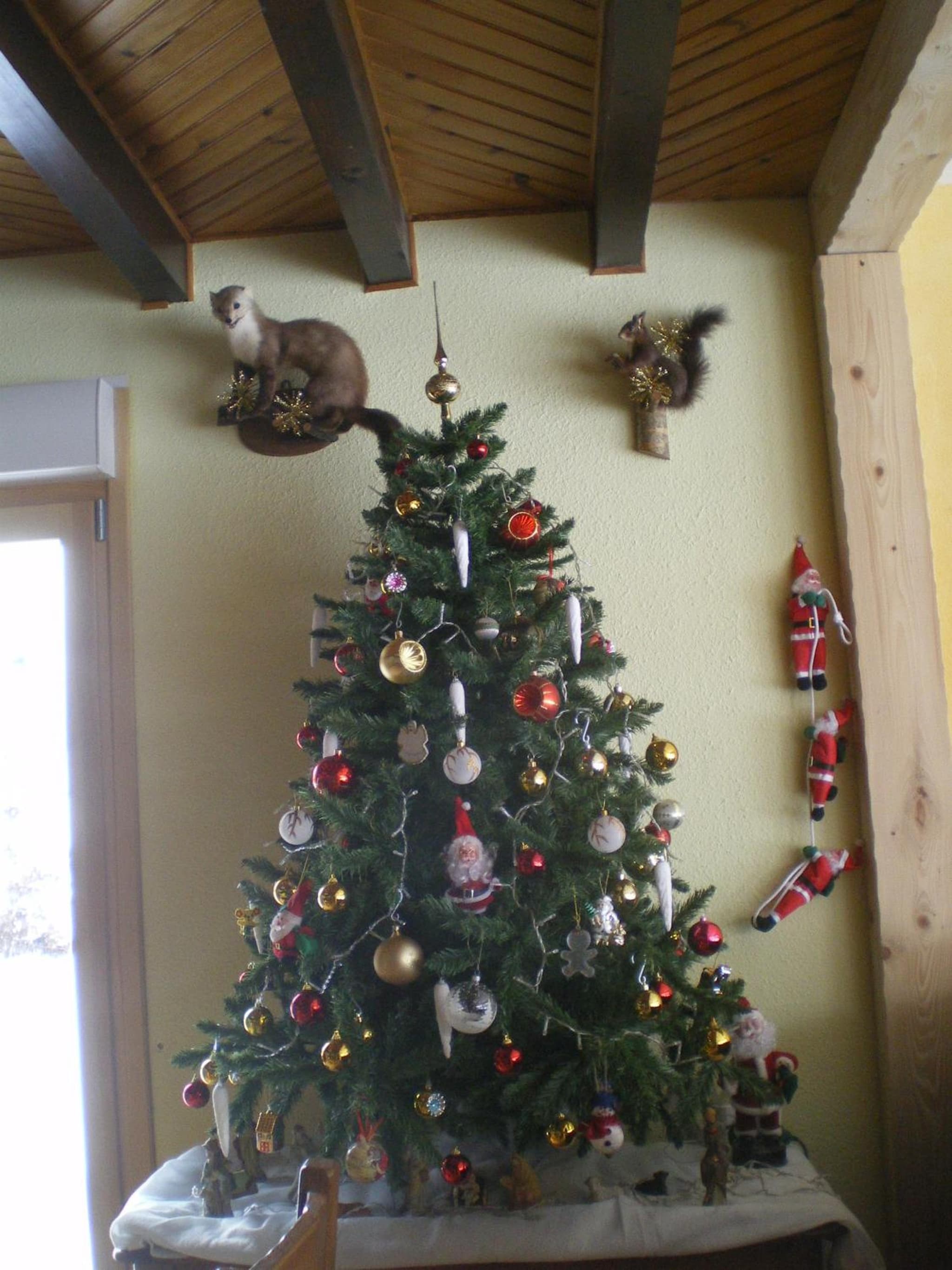 Le Clos des Aulnes photo 8