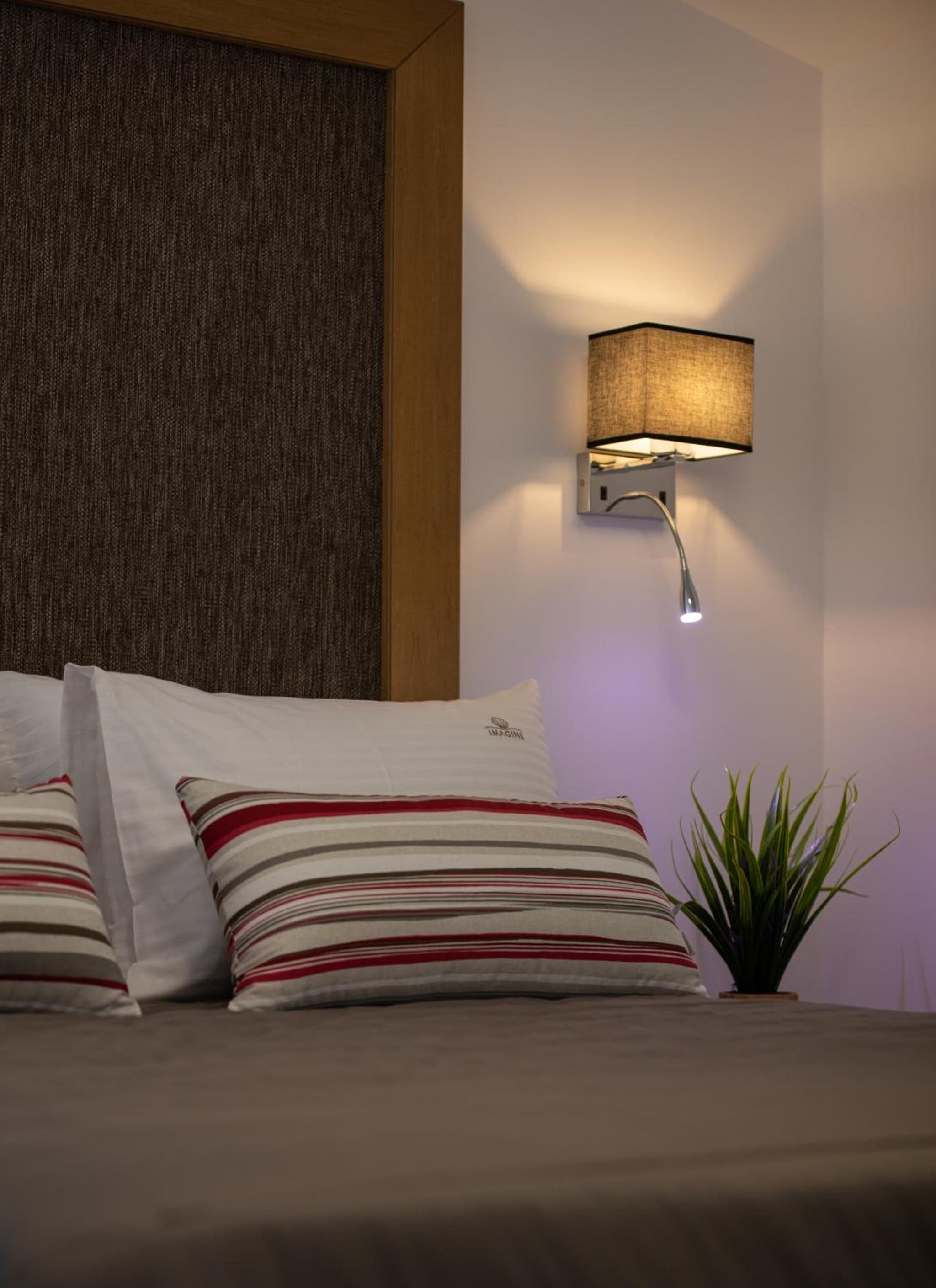 Imagine Luxury Suites photo 3