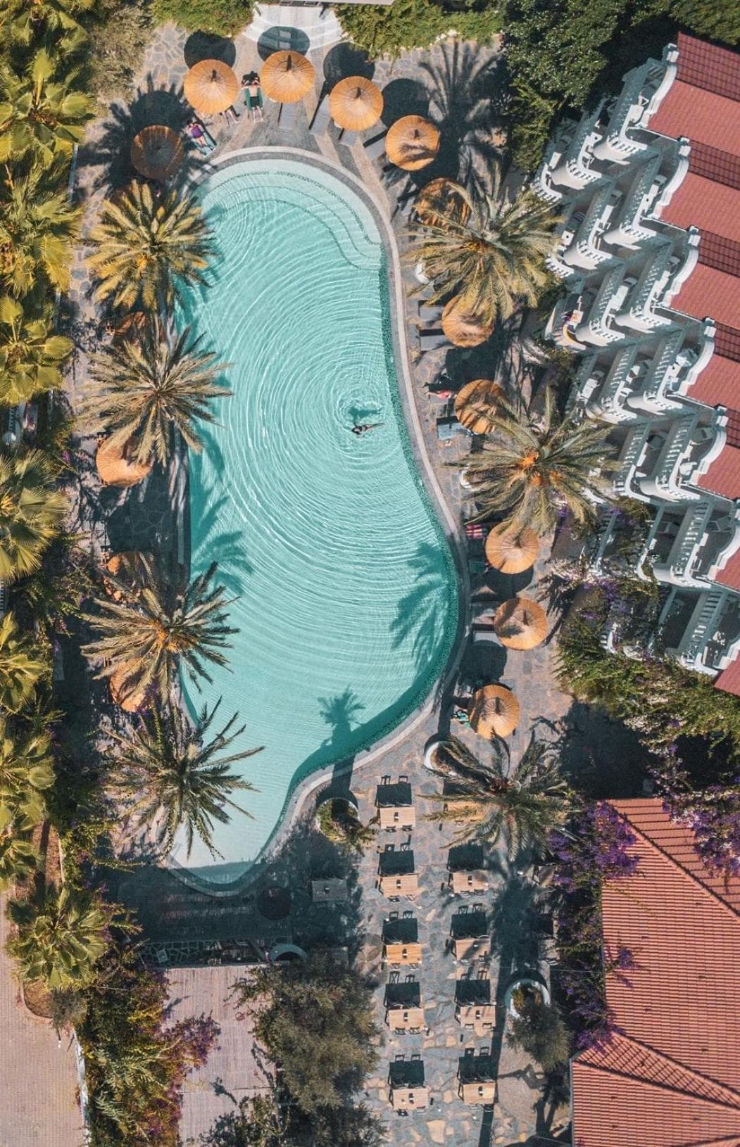 Flamingo Hotel & Spa - Pet Friendly photo 9