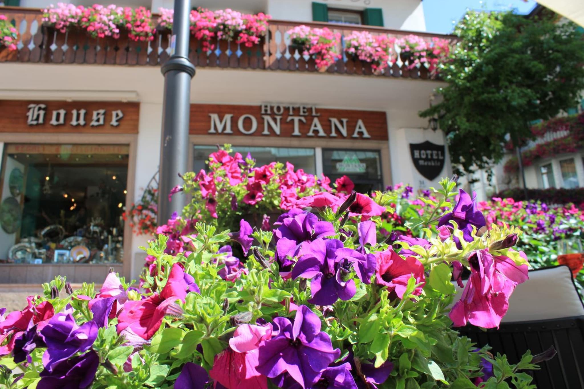 Hotel Montana photo 9