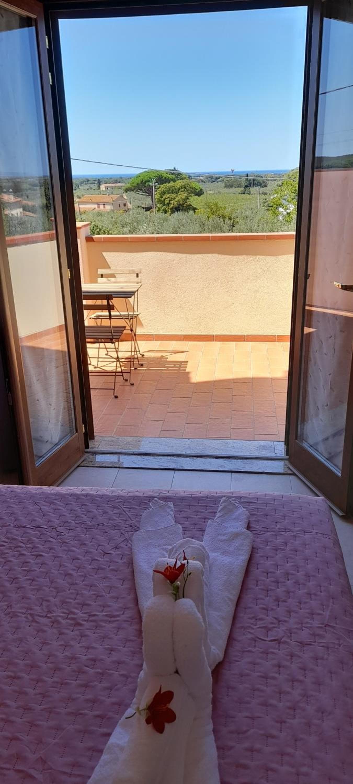 Agriturismo IL VECCHIO OLIVO photo 6