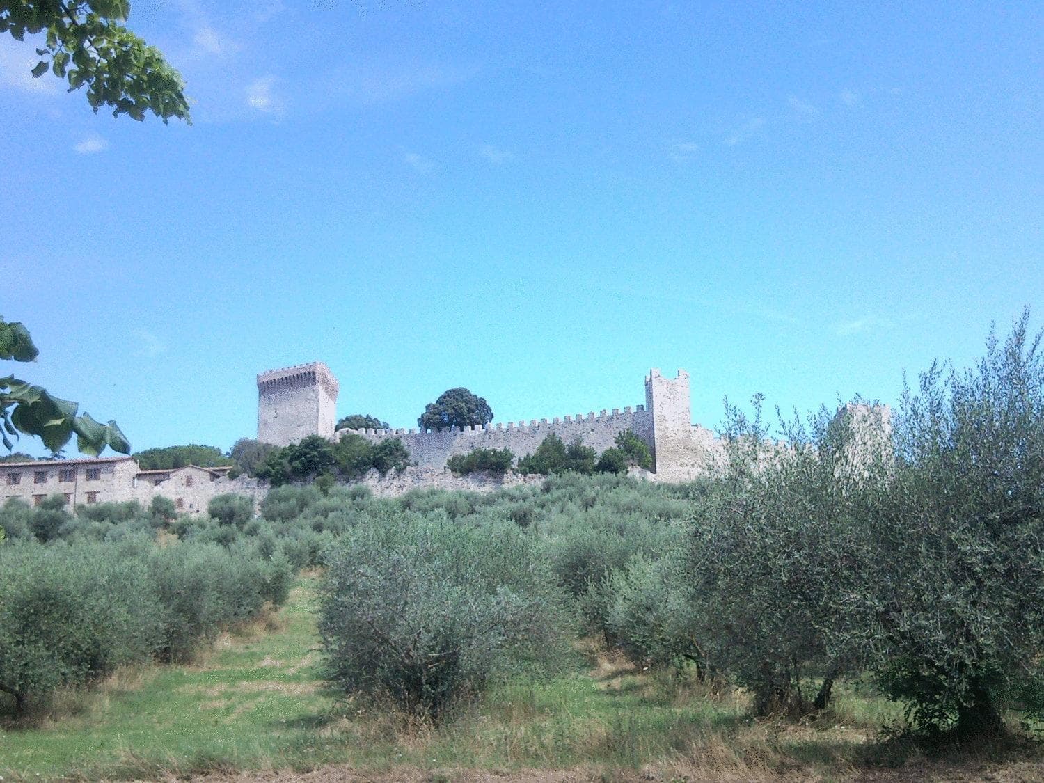 Hotel Trasimeno Bittarelli photo 8