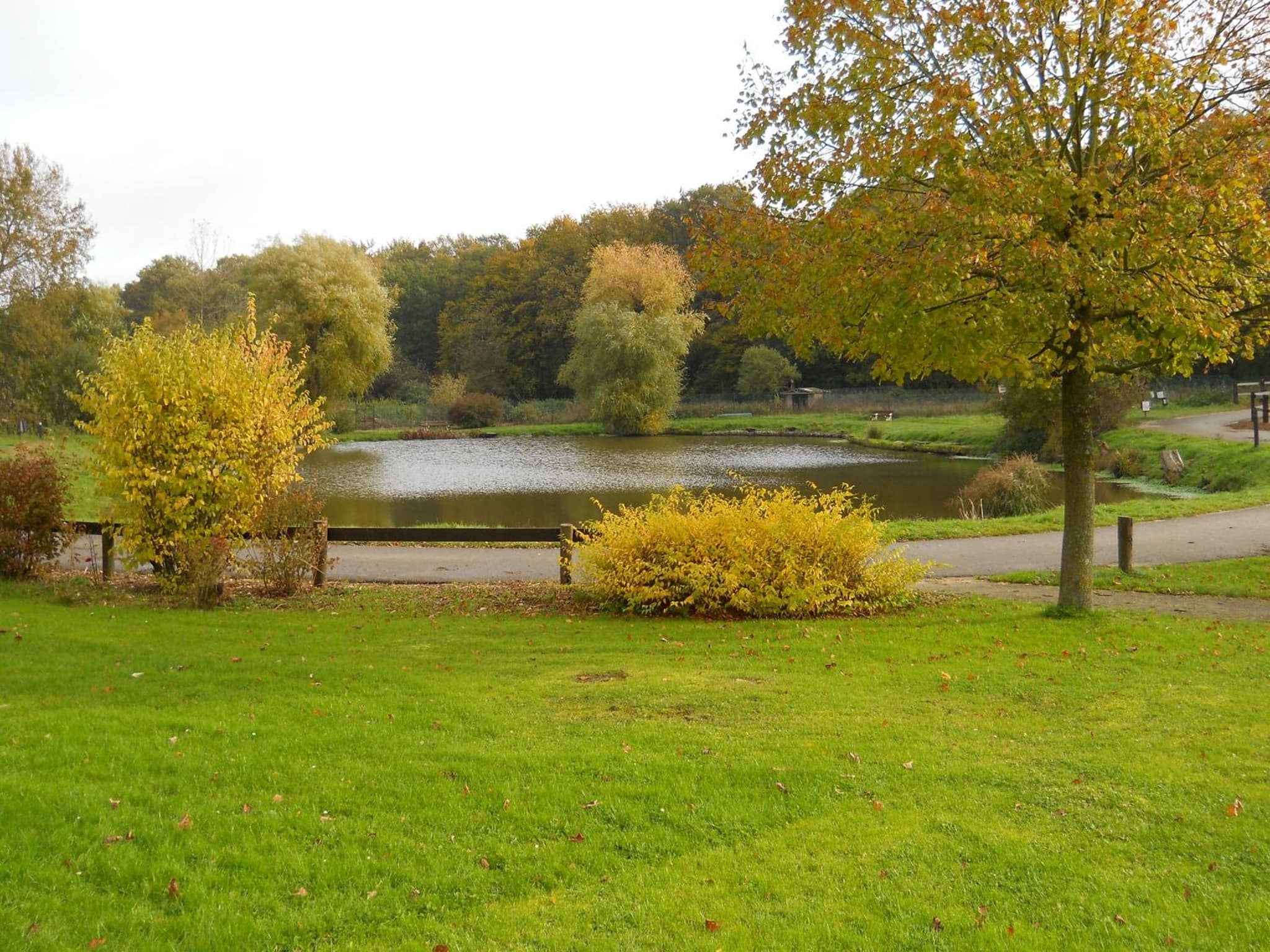Le Relais De La Haute Sambre photo 7