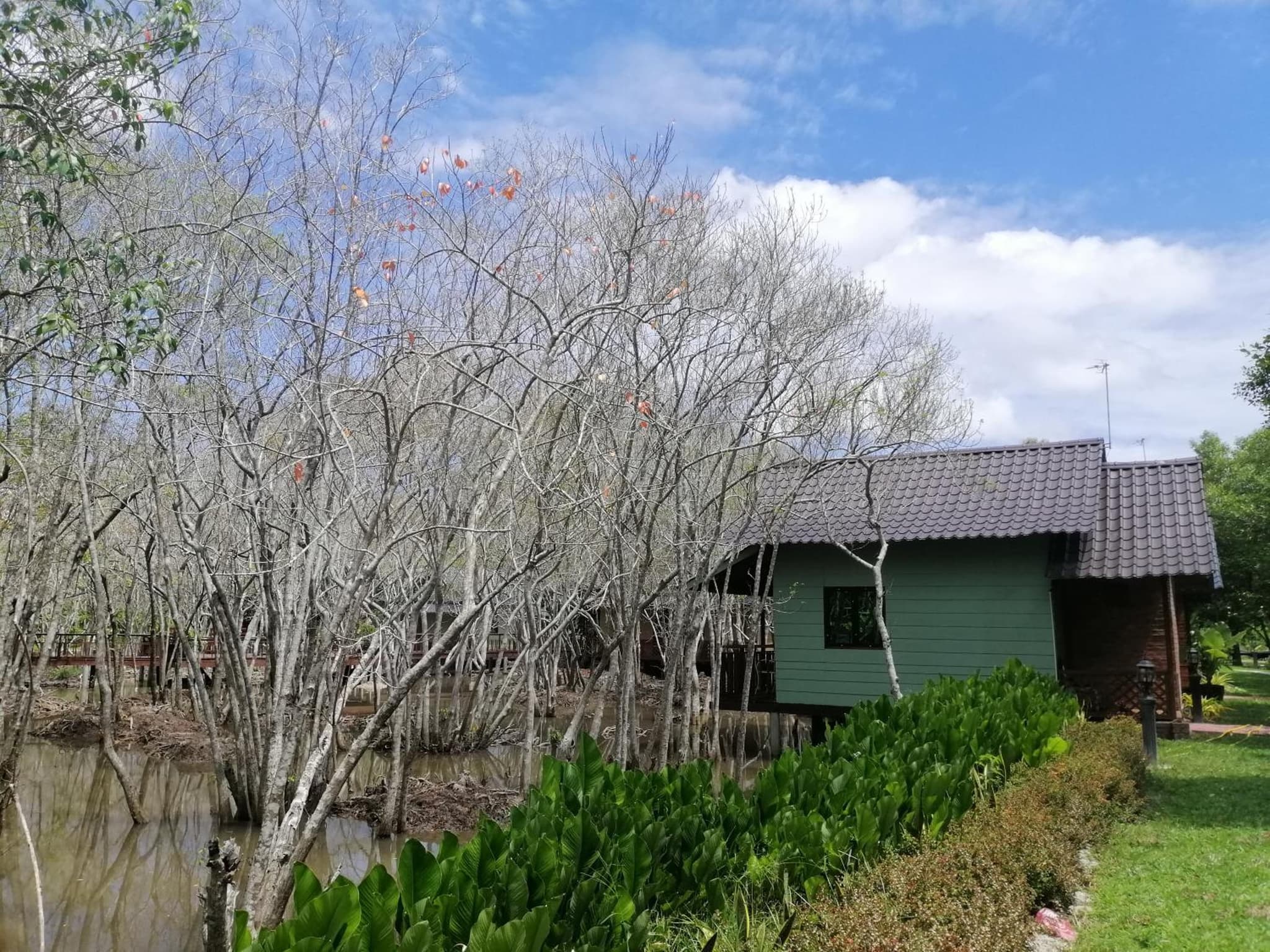 Api-api Eco Chalet photo 9
