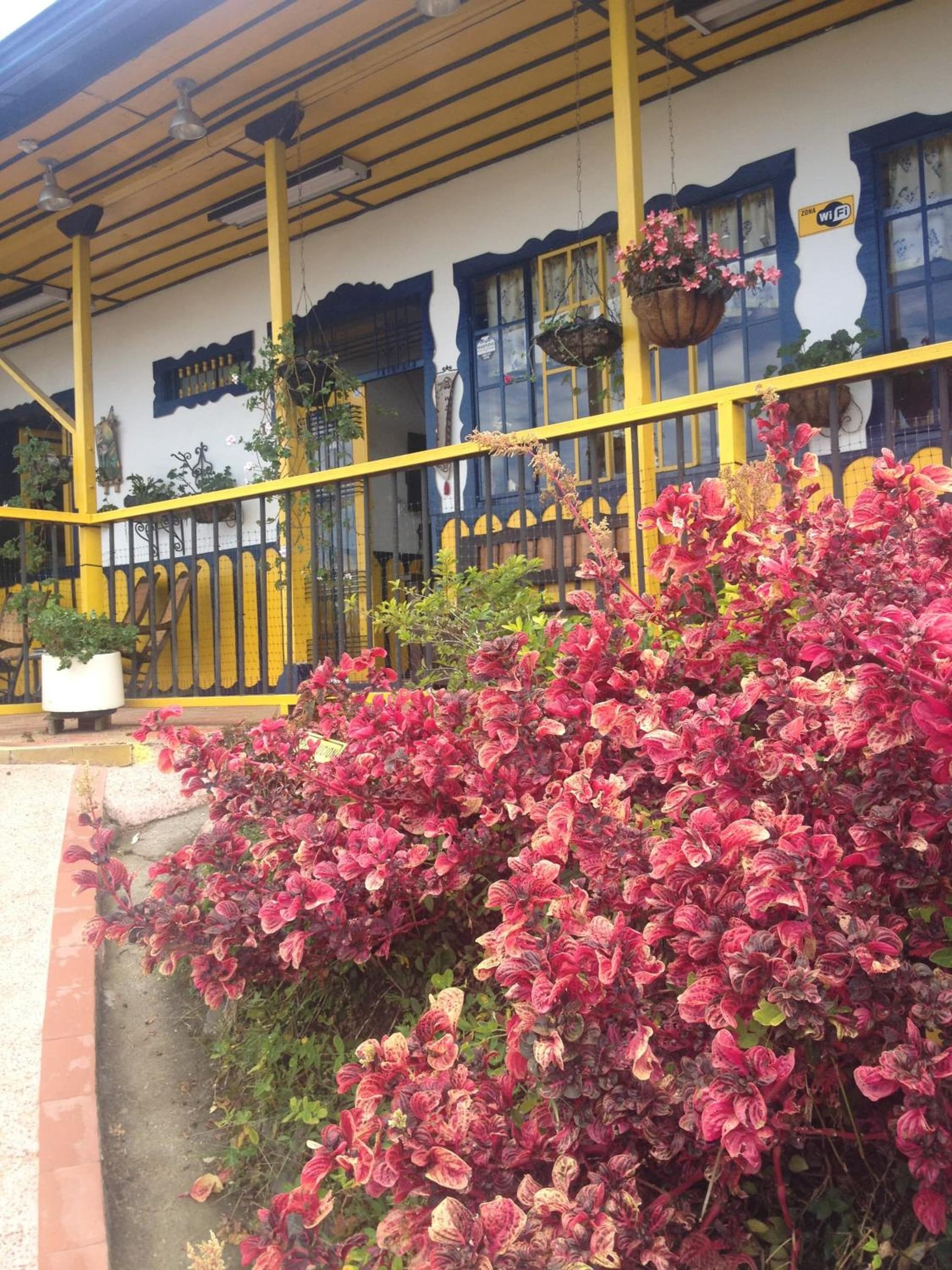 Finca Cardonales