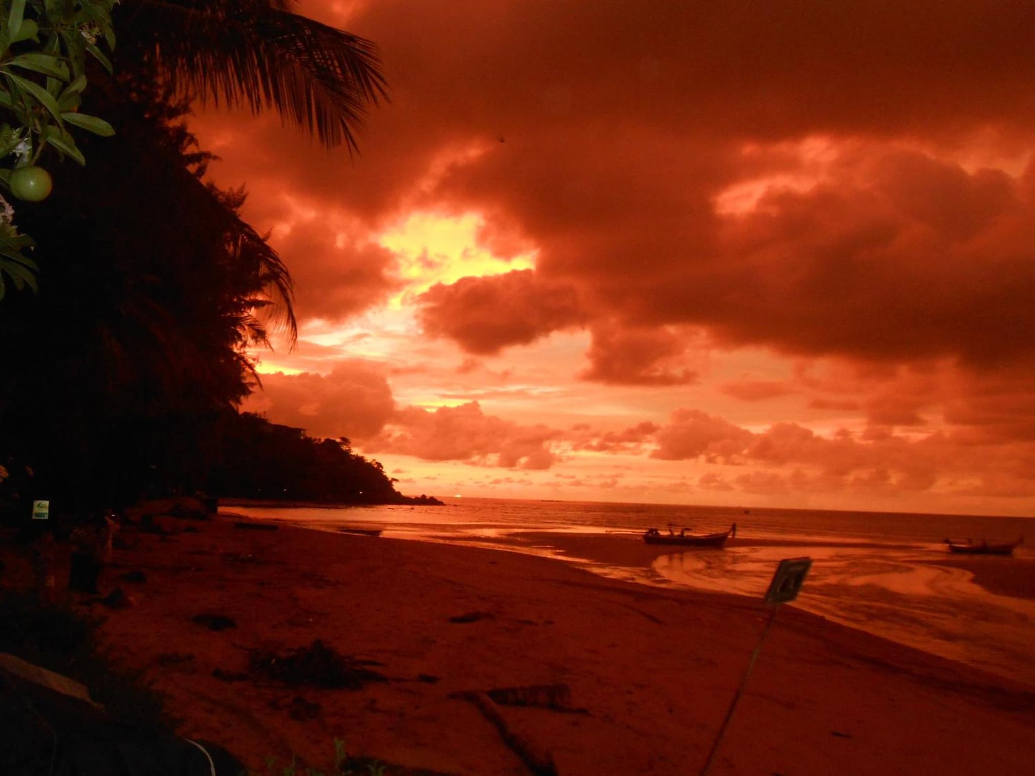 Kamala Dreams photo 3