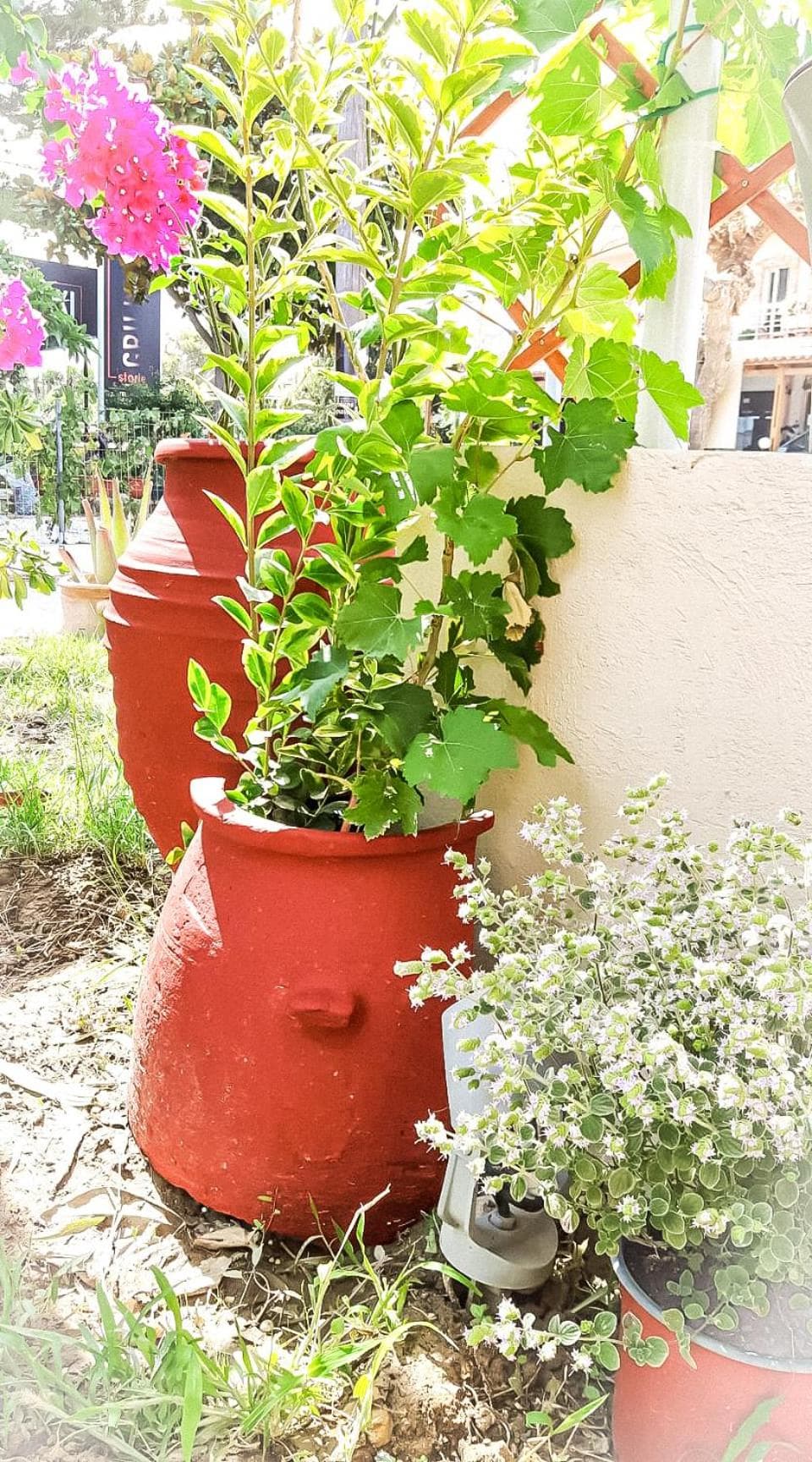 Yucca Studio, beautiful apartment with garden photo 4
