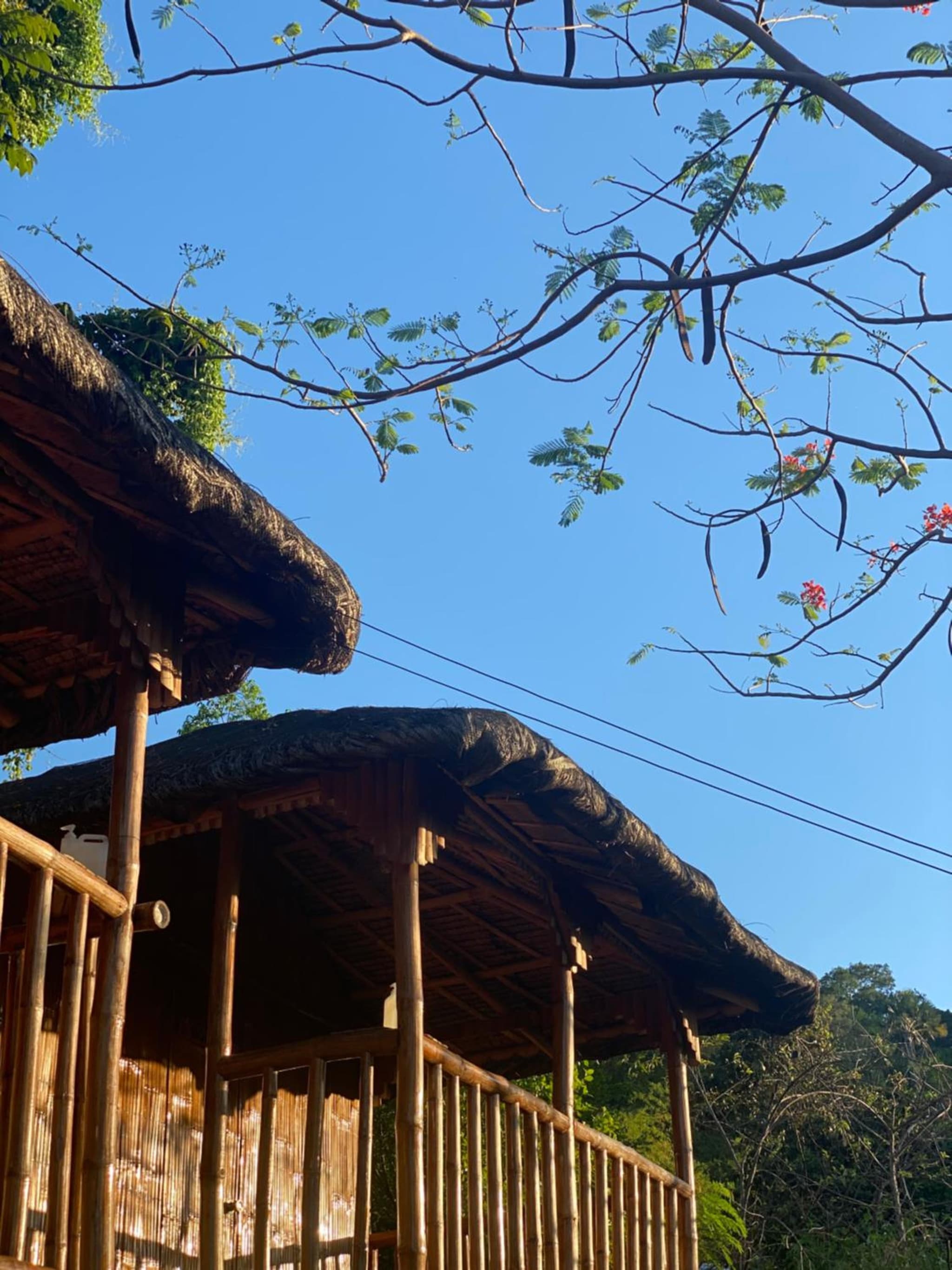 RUSTIQUE RUE Mabini - Hostel