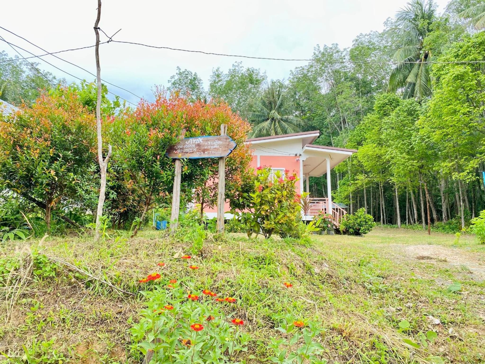 TR Bungalow photo 3