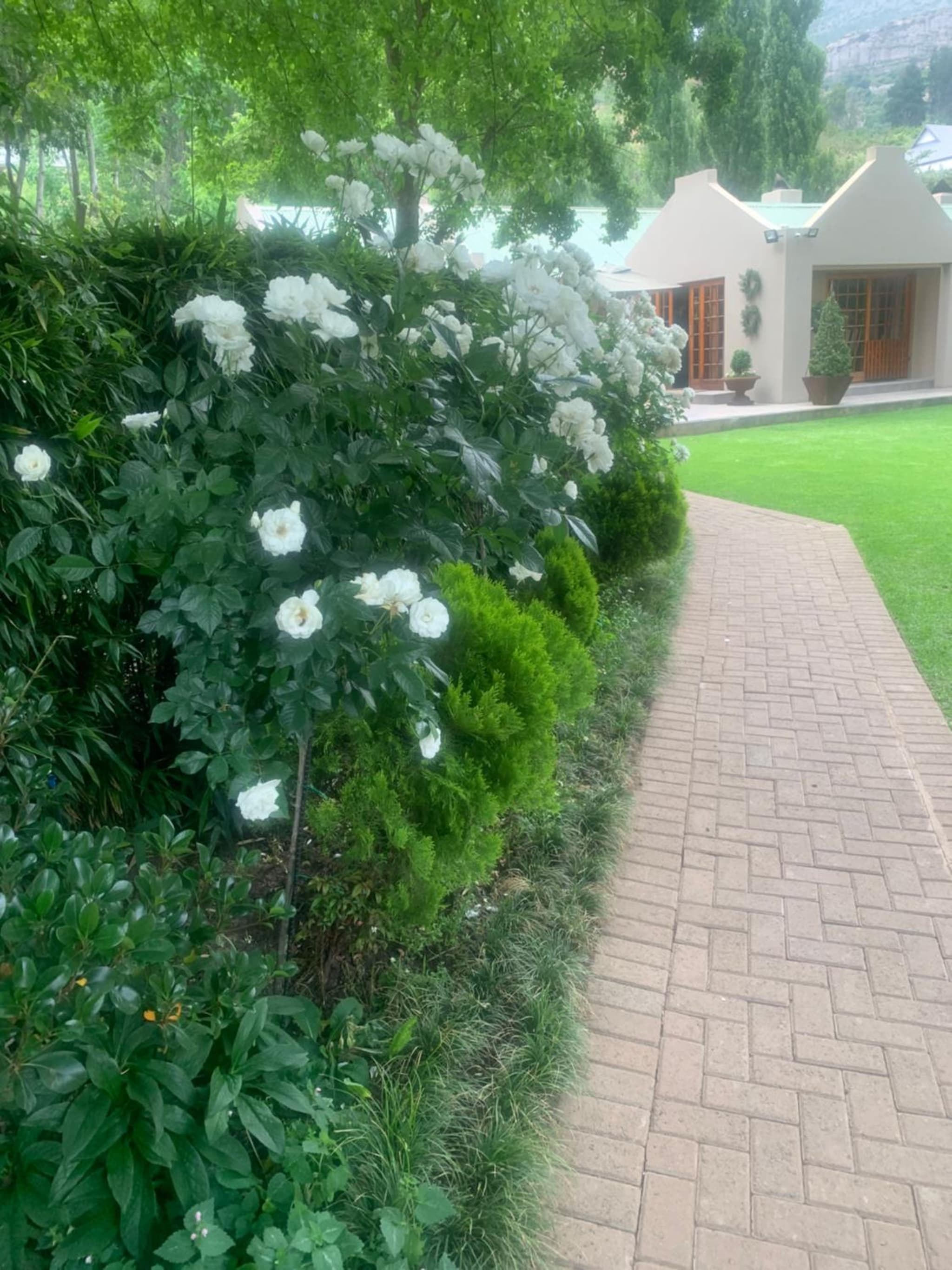 Zwartmodder Clarens photo 3