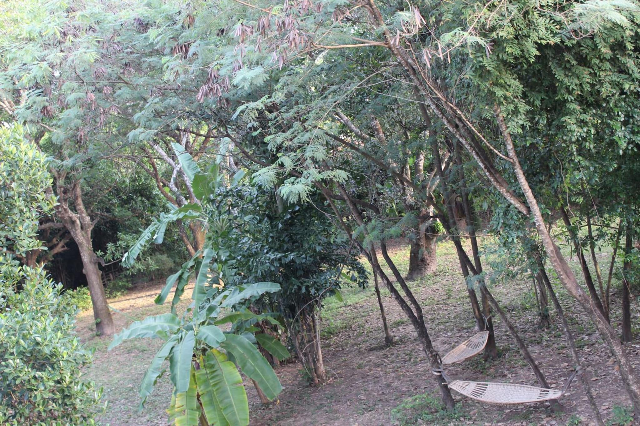 Arun Mekong Guesthouse photo 9