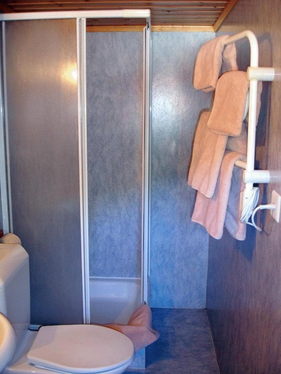 Chalet Suisse Bed and Breakfast photo 7