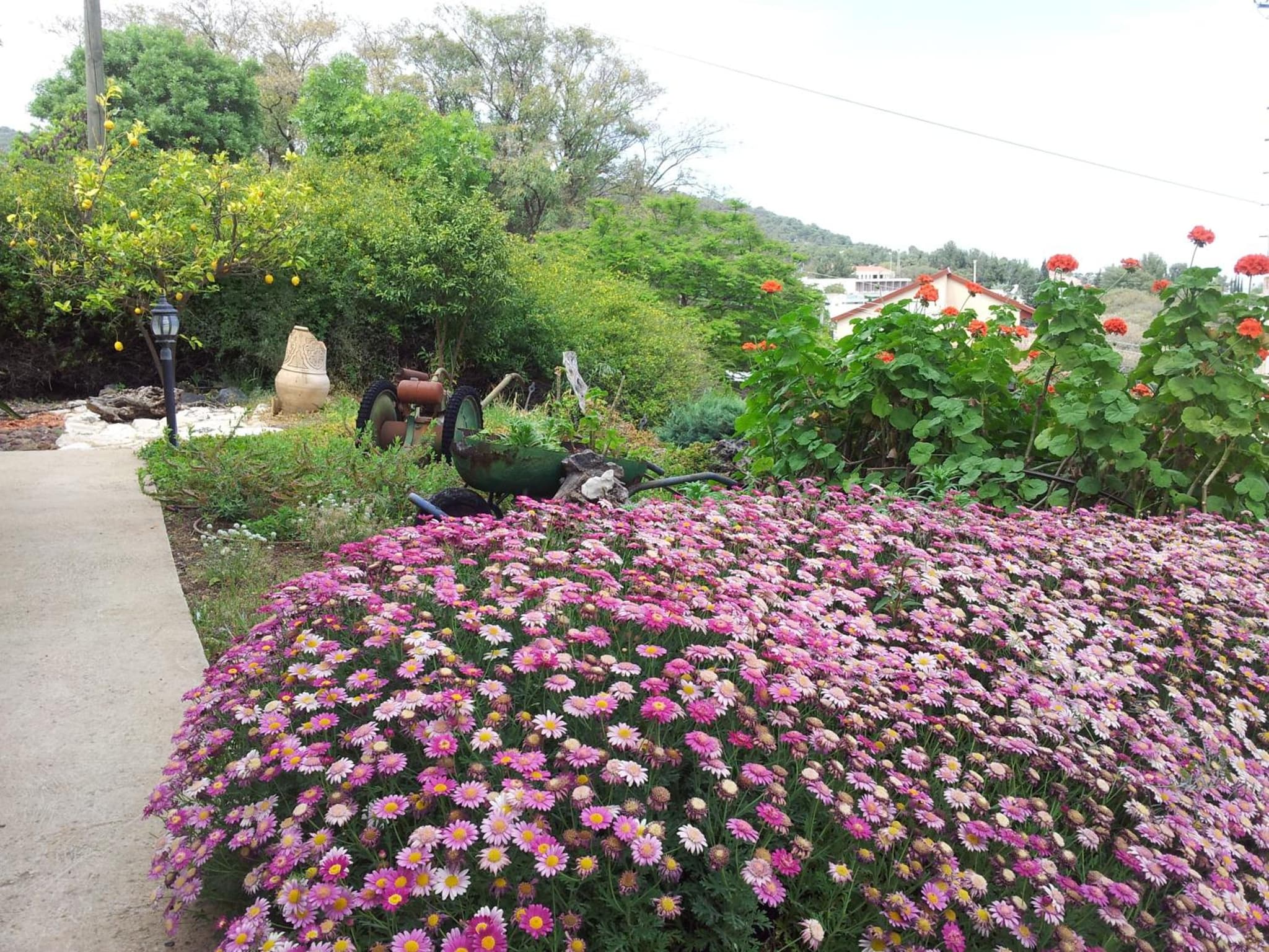 Shwartzimmer photo 5