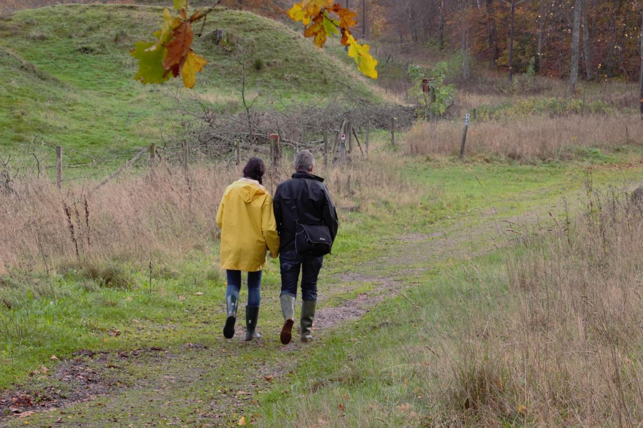 Kuskahusen vandrarhem photo 4