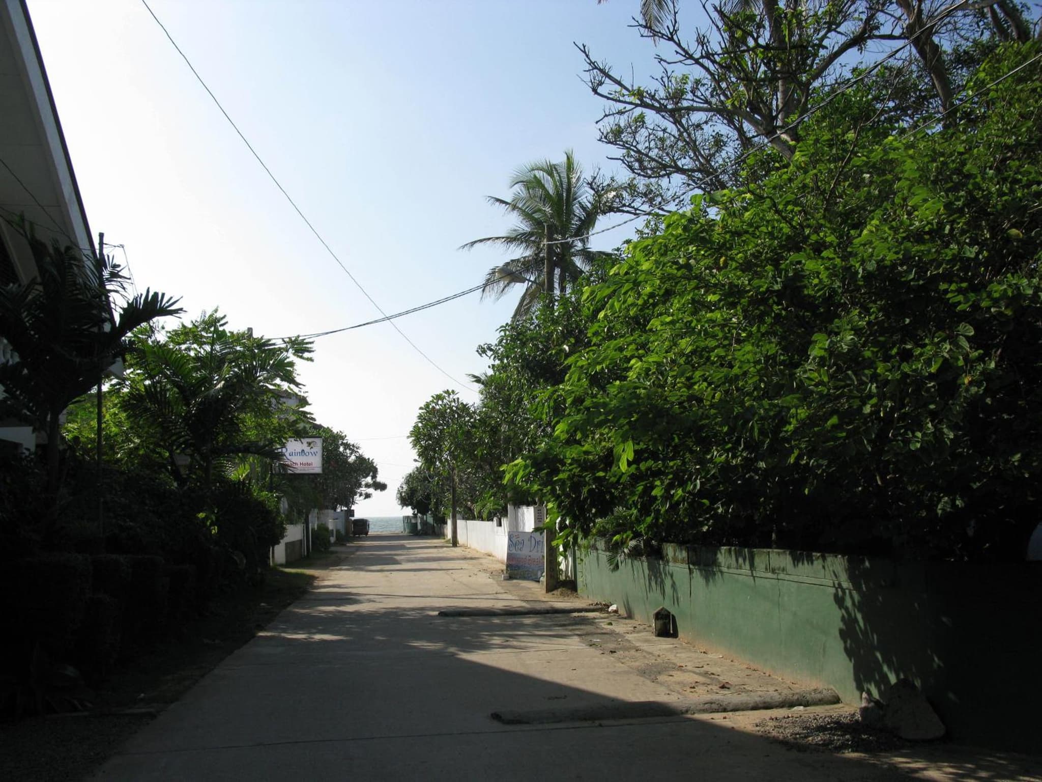 New Rani Inn photo 8