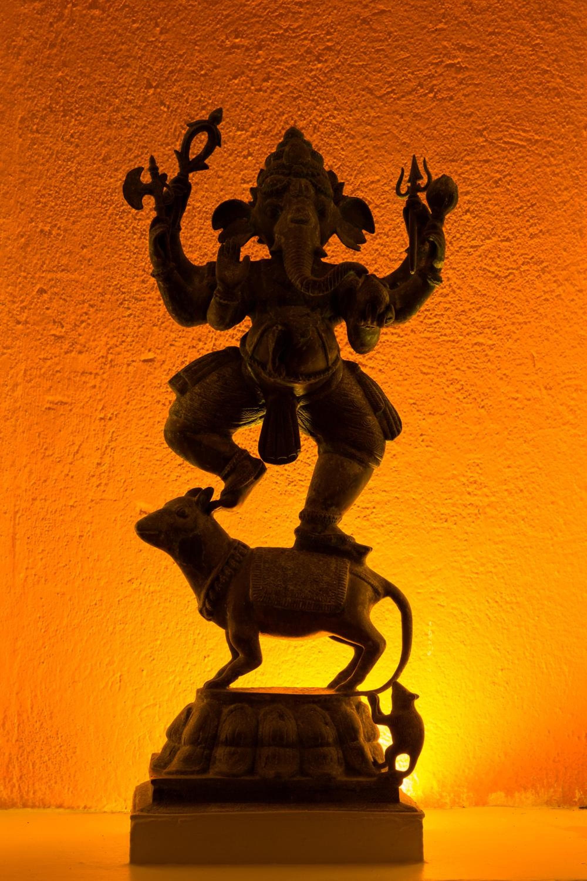 Club Villa photo 6