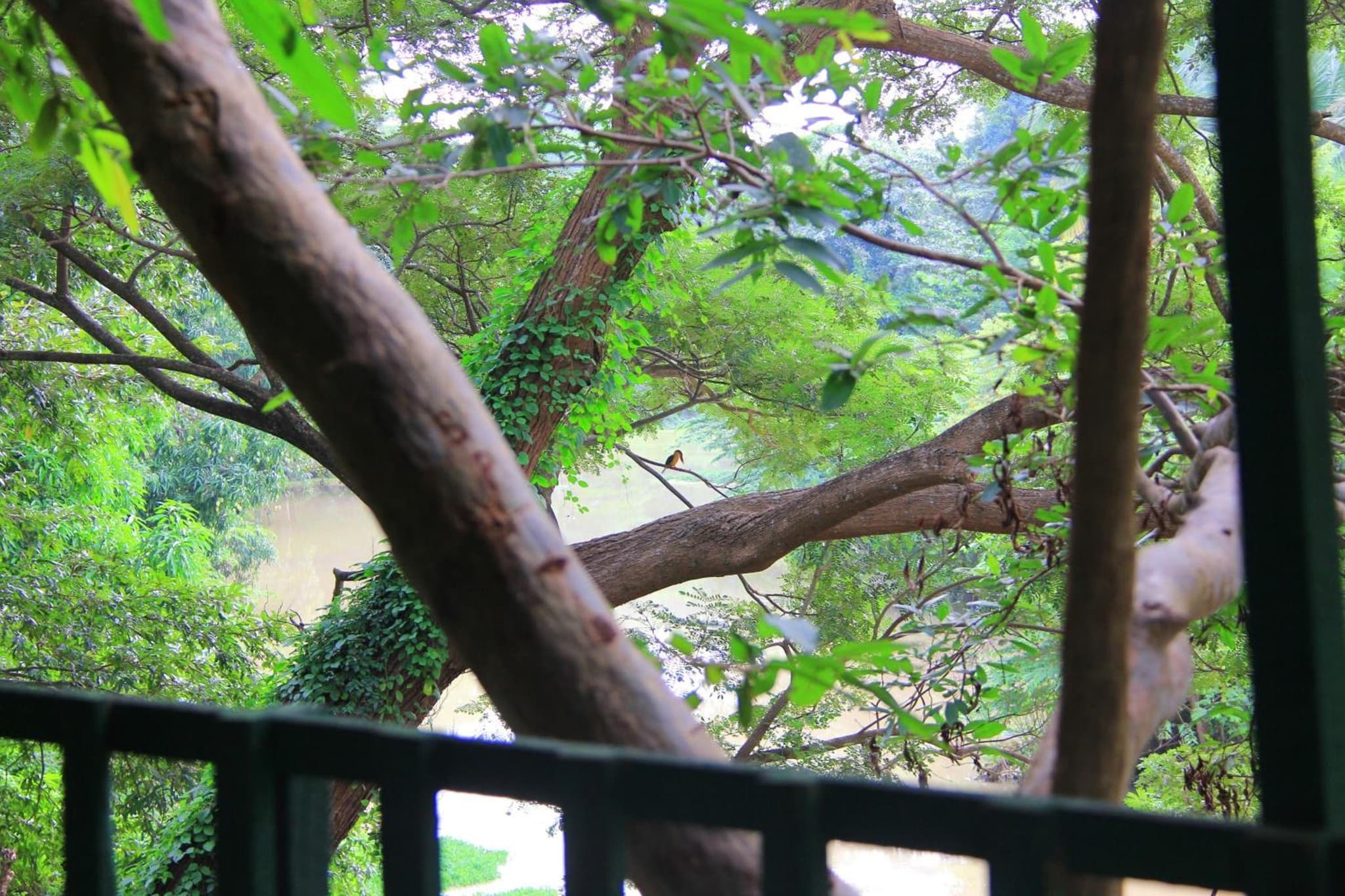 River Side Cabana photo 5