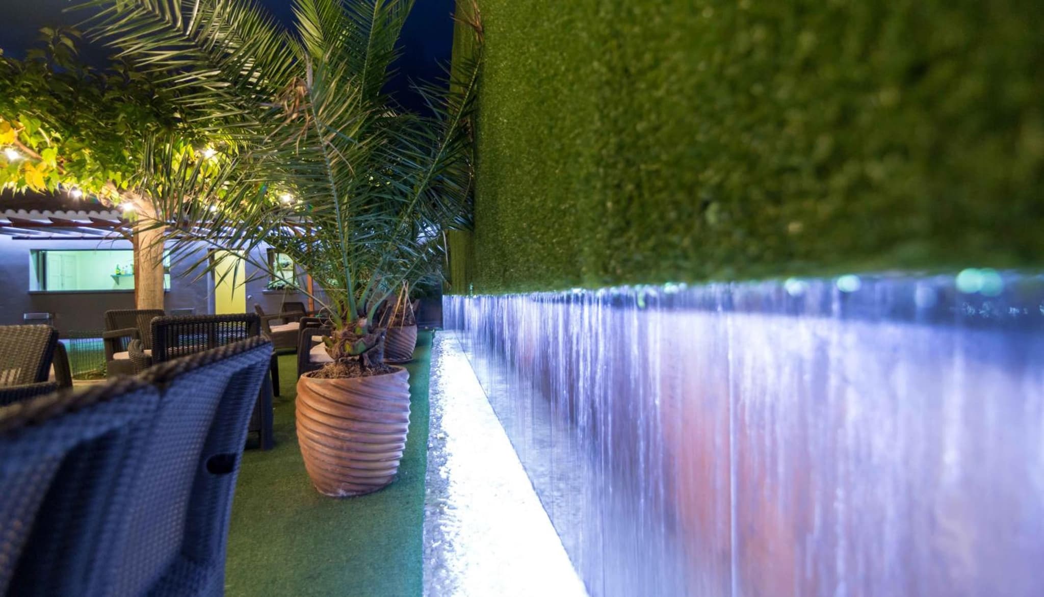 El Patio photo 3