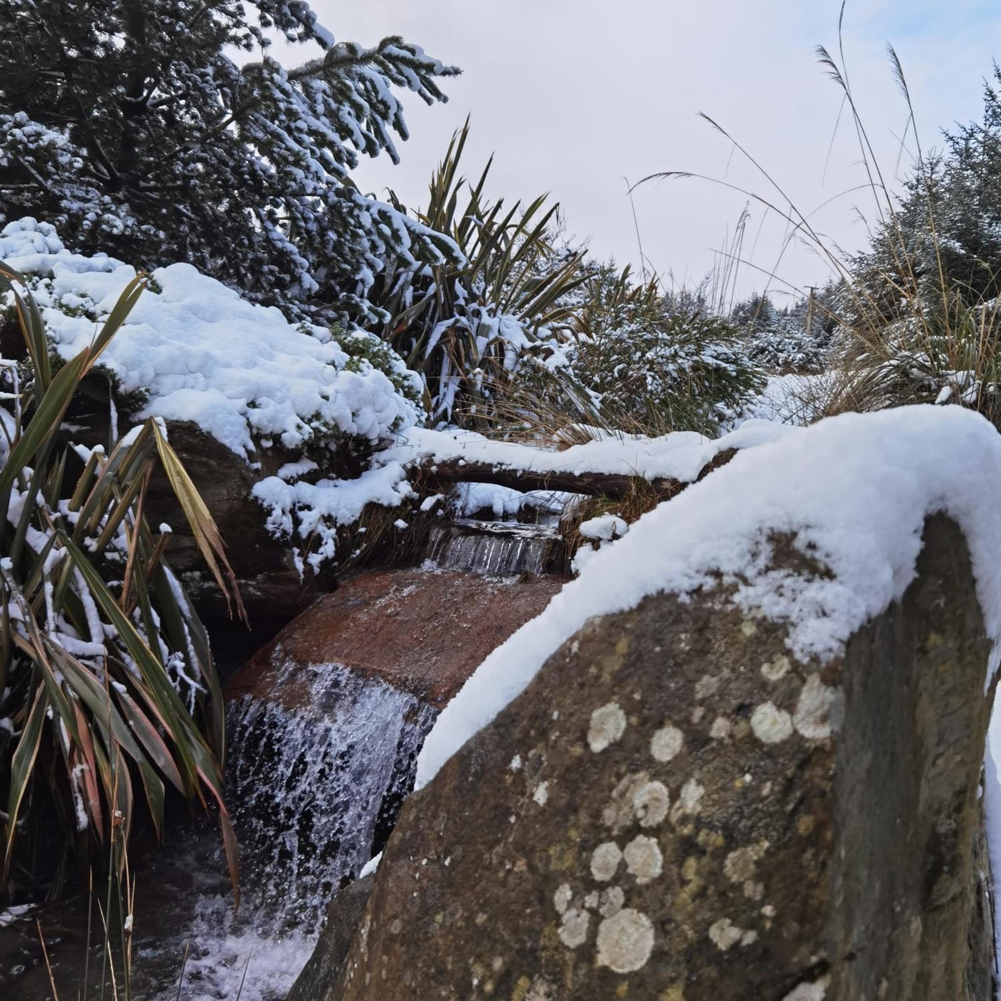 Retreat Lodge photo 6