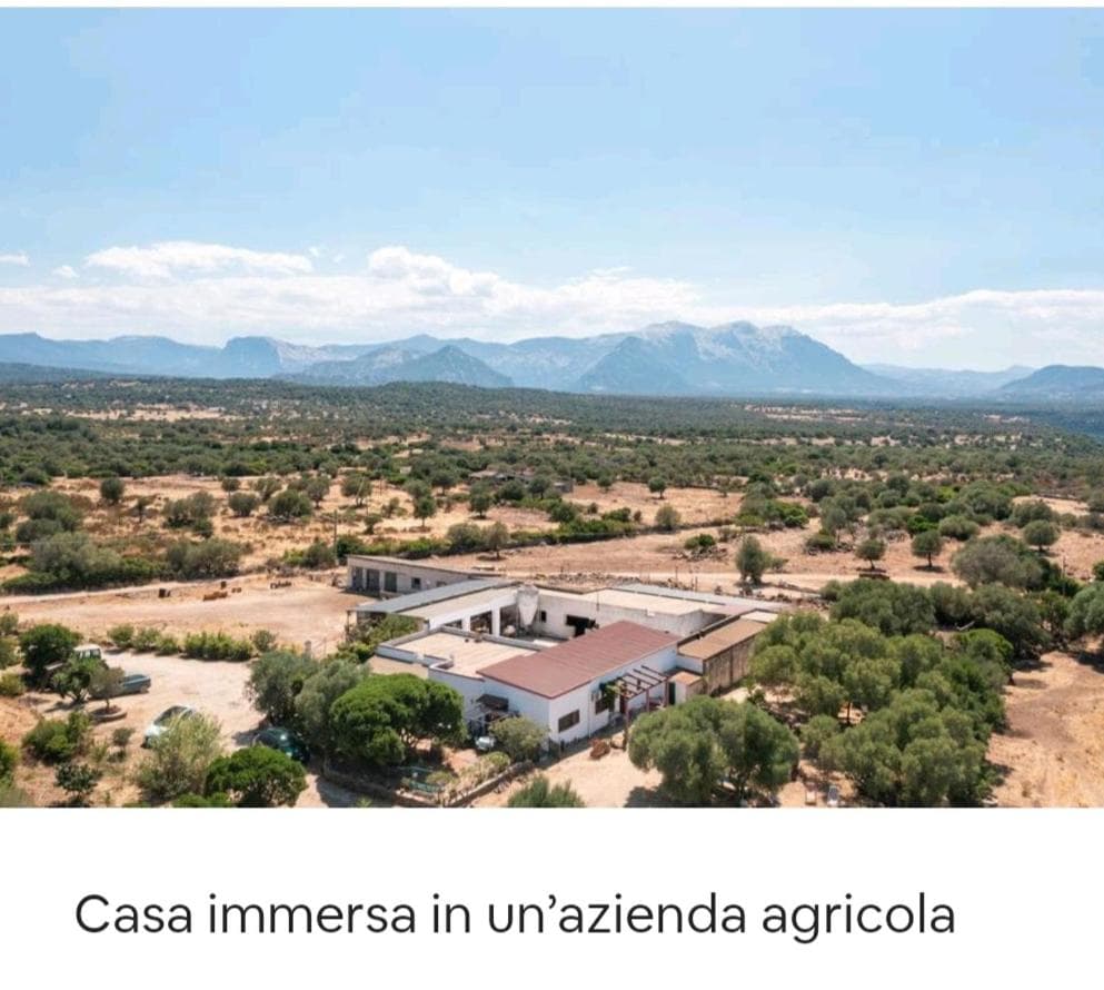 Su Saucu photo 3