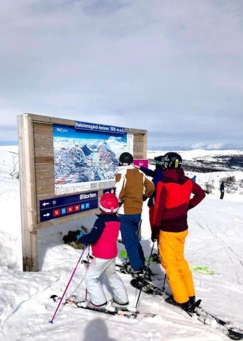 Seterhytte i Havsdalen photo 2