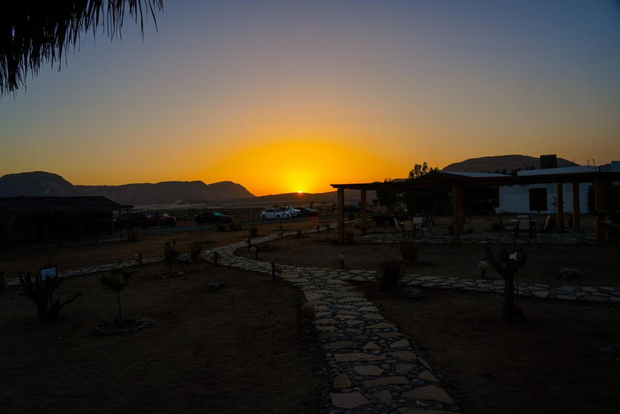 SAMA Ras Al Jinz Ecolodge photo 7