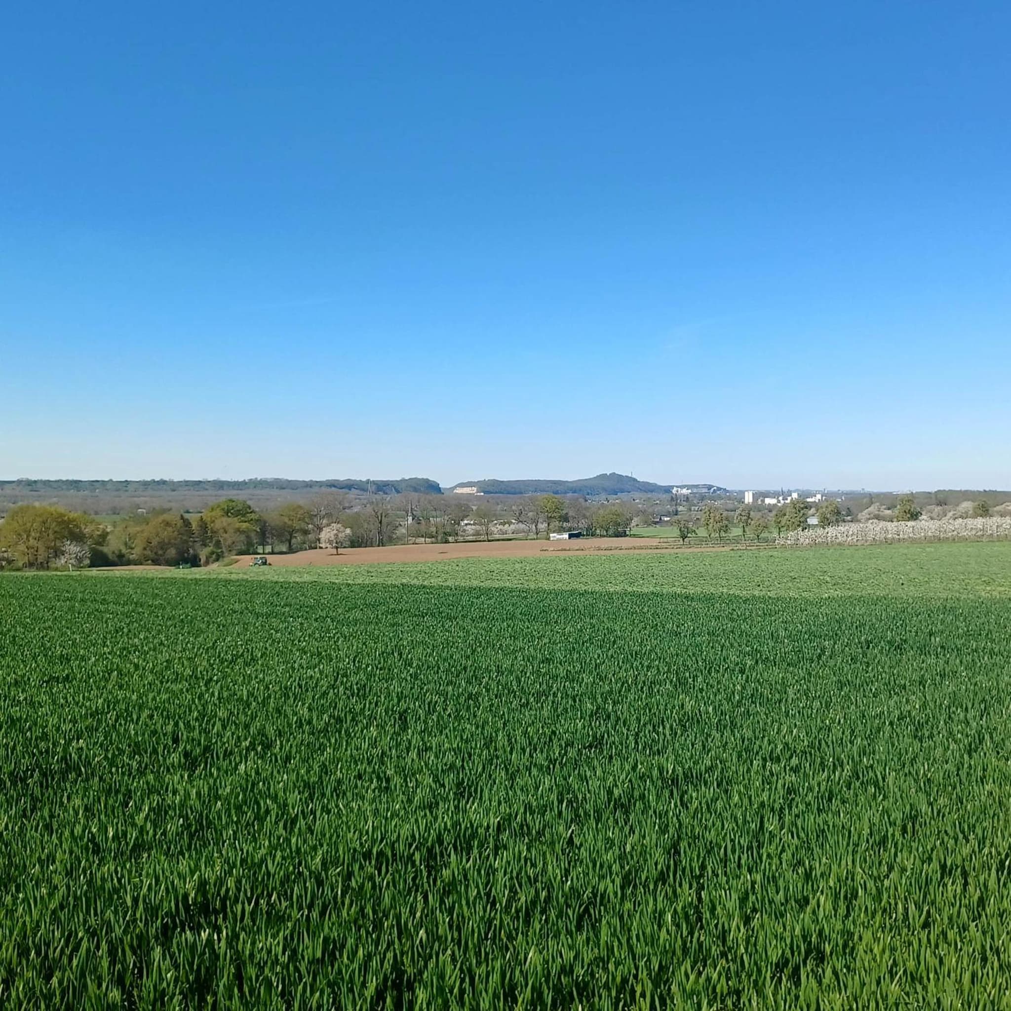 La Cabane du Coing photo 4