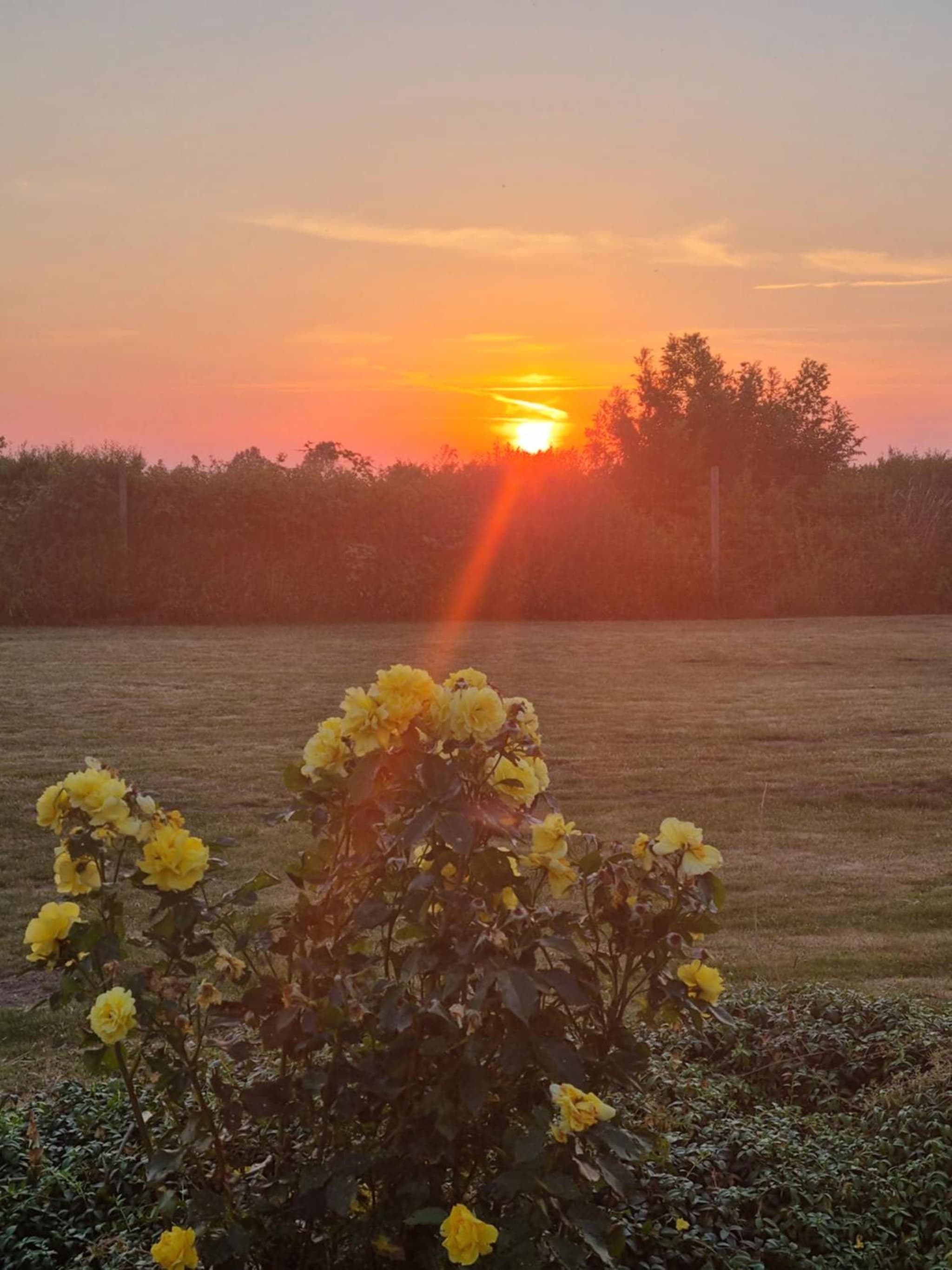 Birkelund BnB photo 5