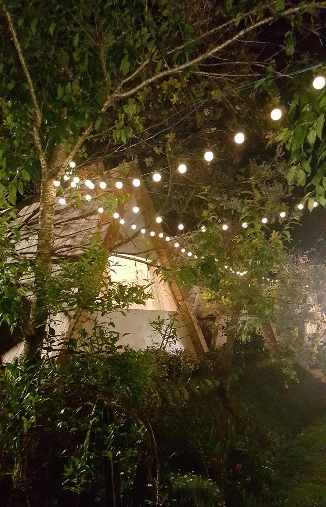 Nấp Đà Lạt photo 4