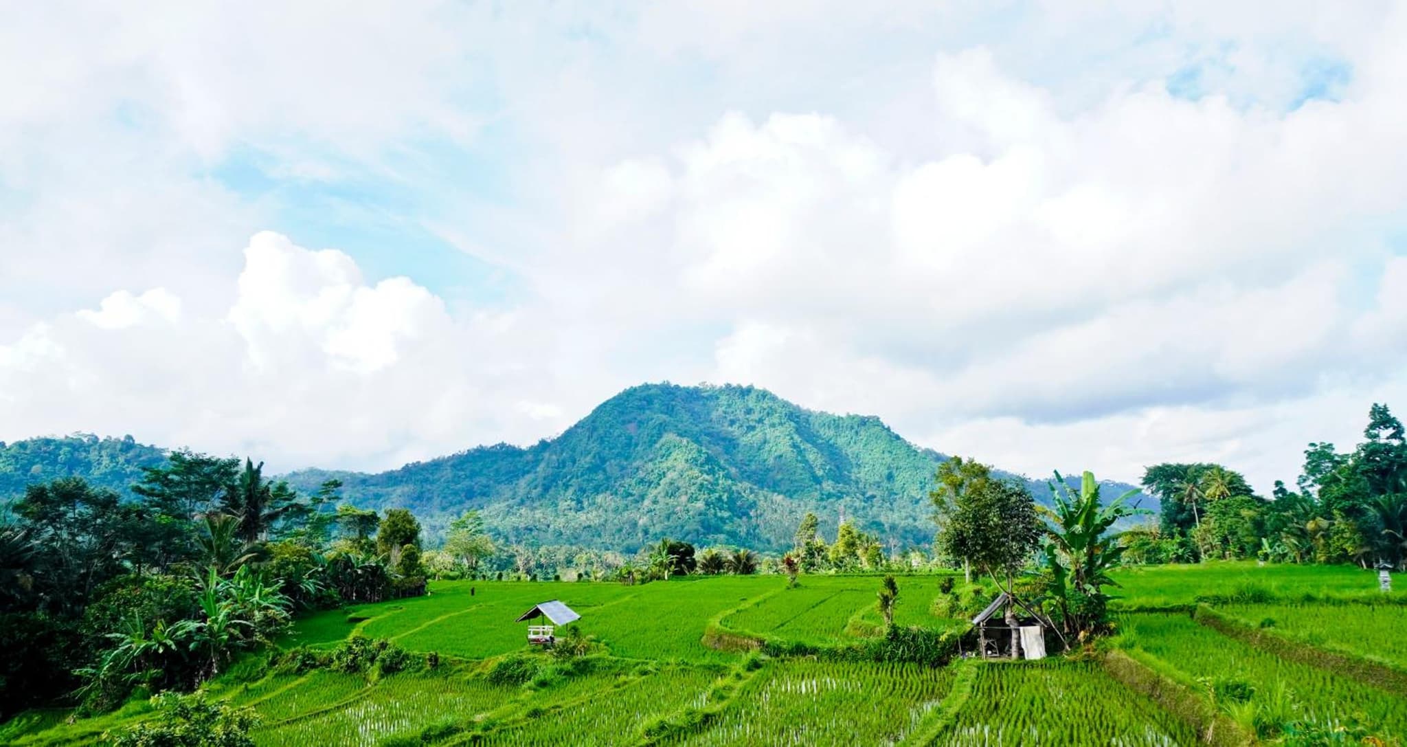Ume Dukuh Home Sidemen photo 7