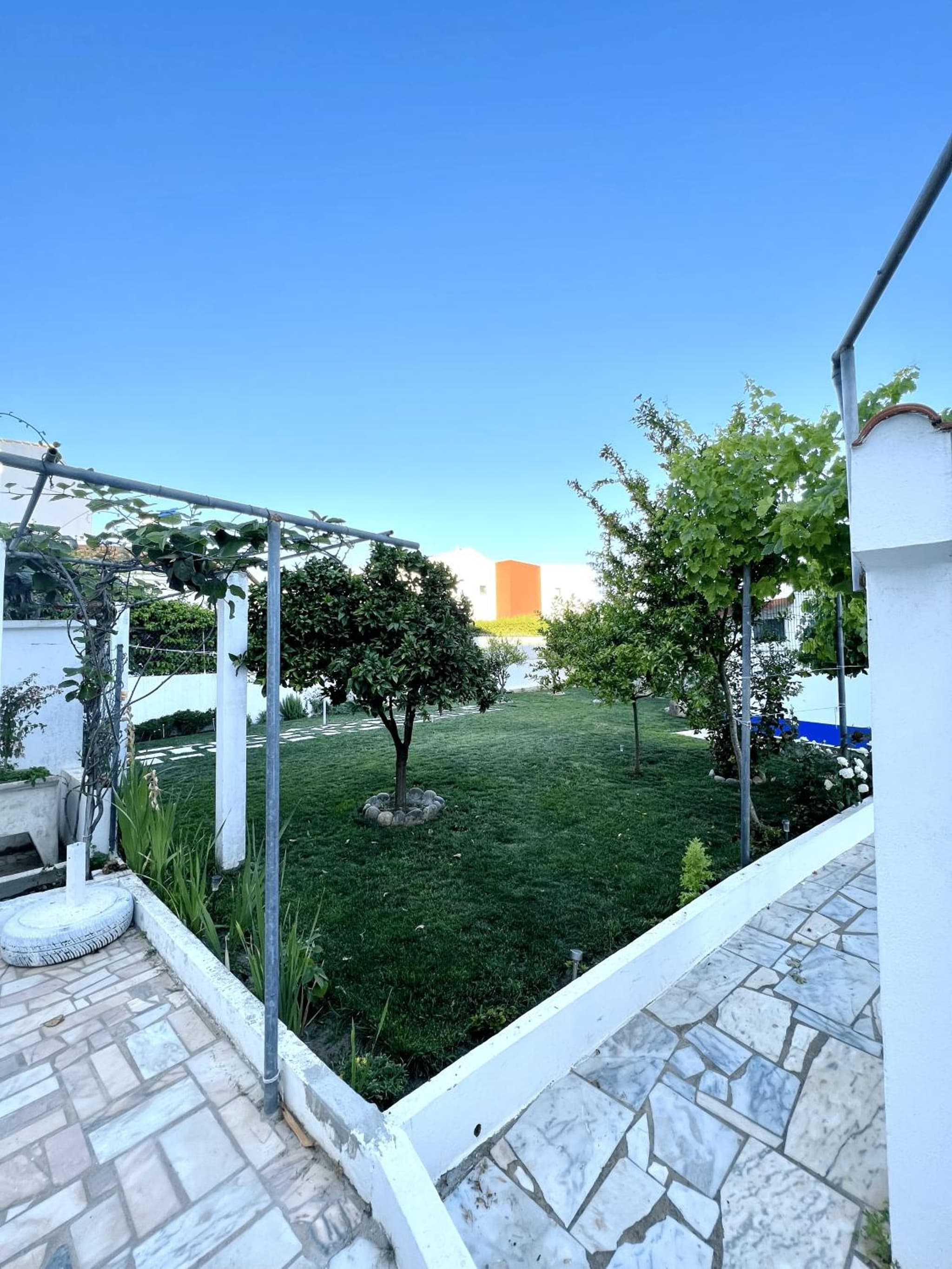 Apartamentos Guiomar Campos photo 5