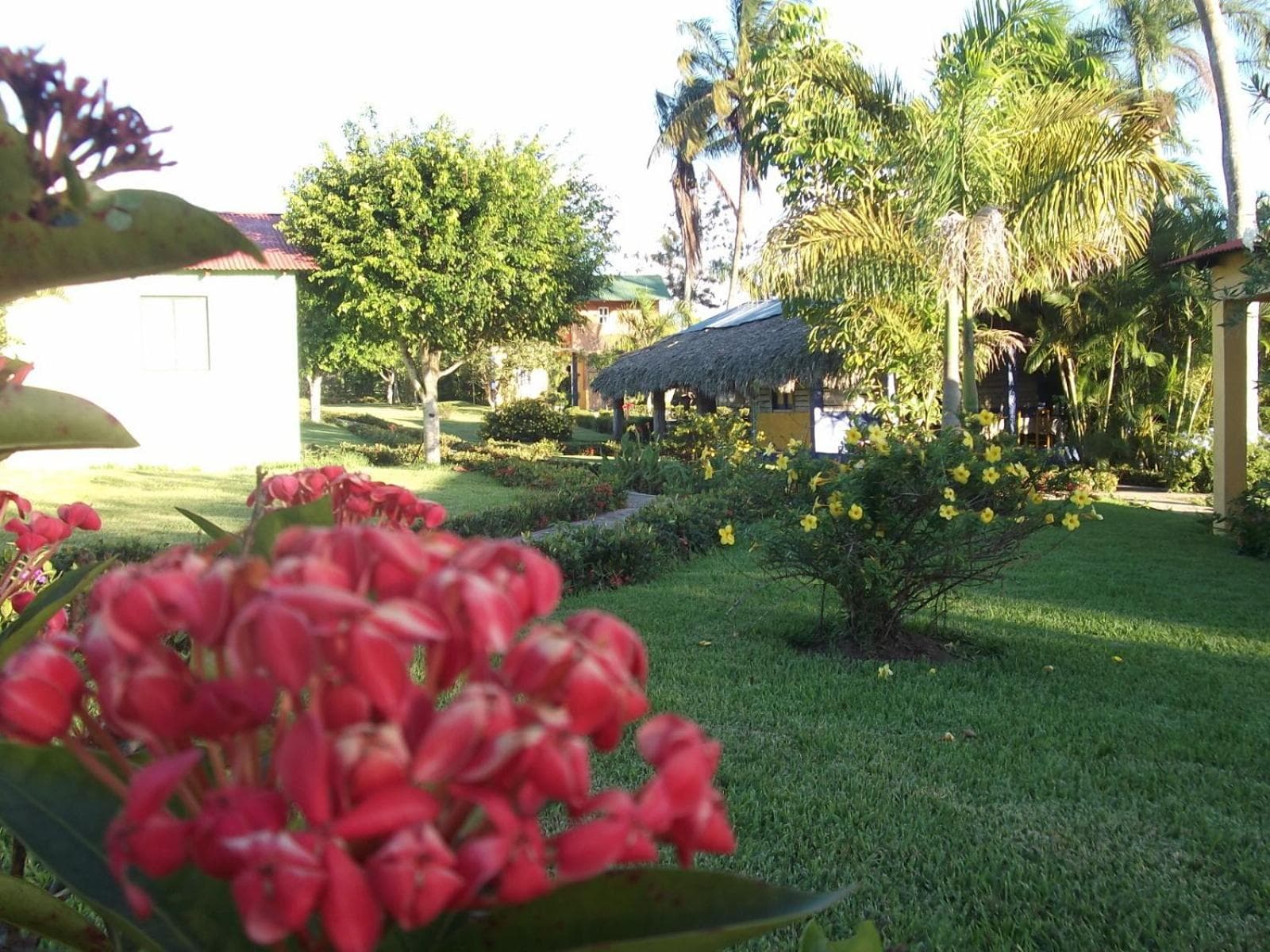Los Bohios Campo Añil photo 8