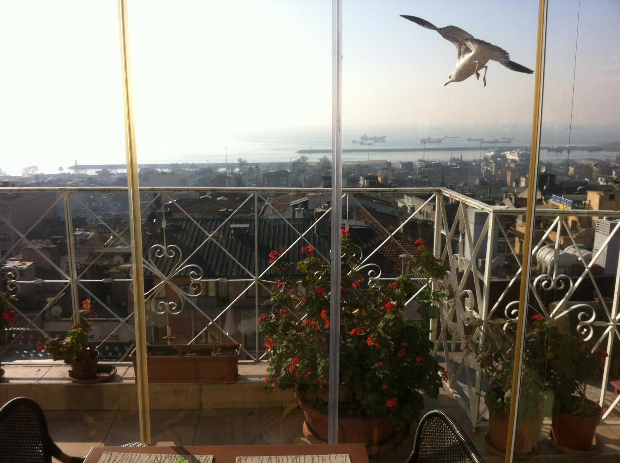 Hotel Linda photo 3