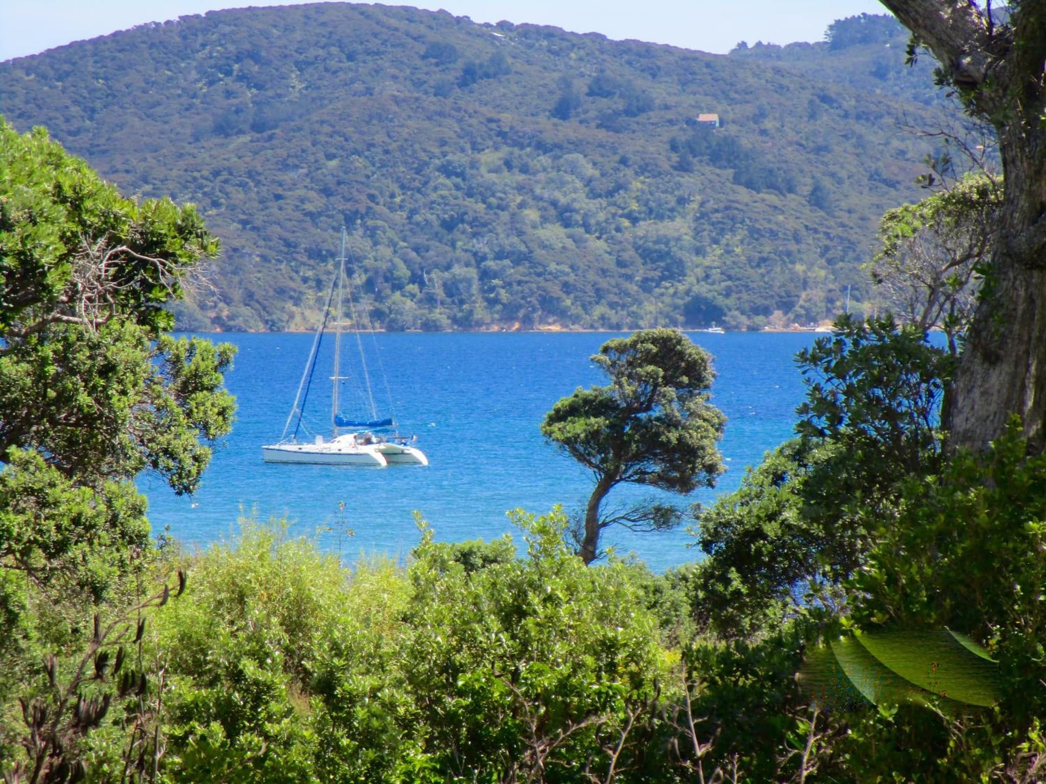 Mulberry Grove Retreat photo 3