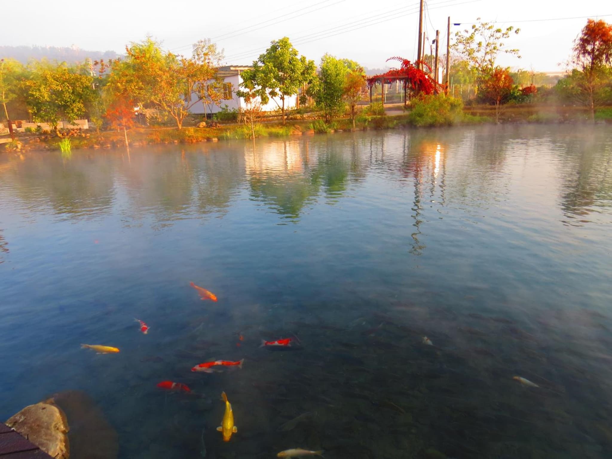 Beauty Spring N Harvest Guest House photo 4