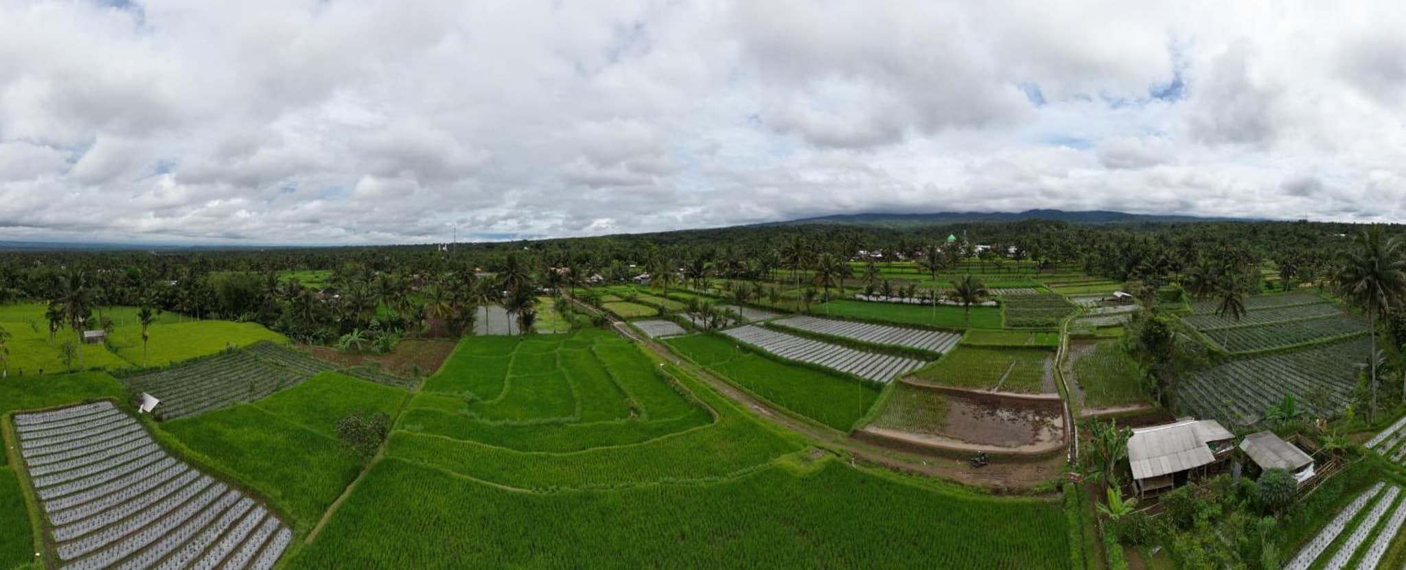 Green Haven Homestay photo 9