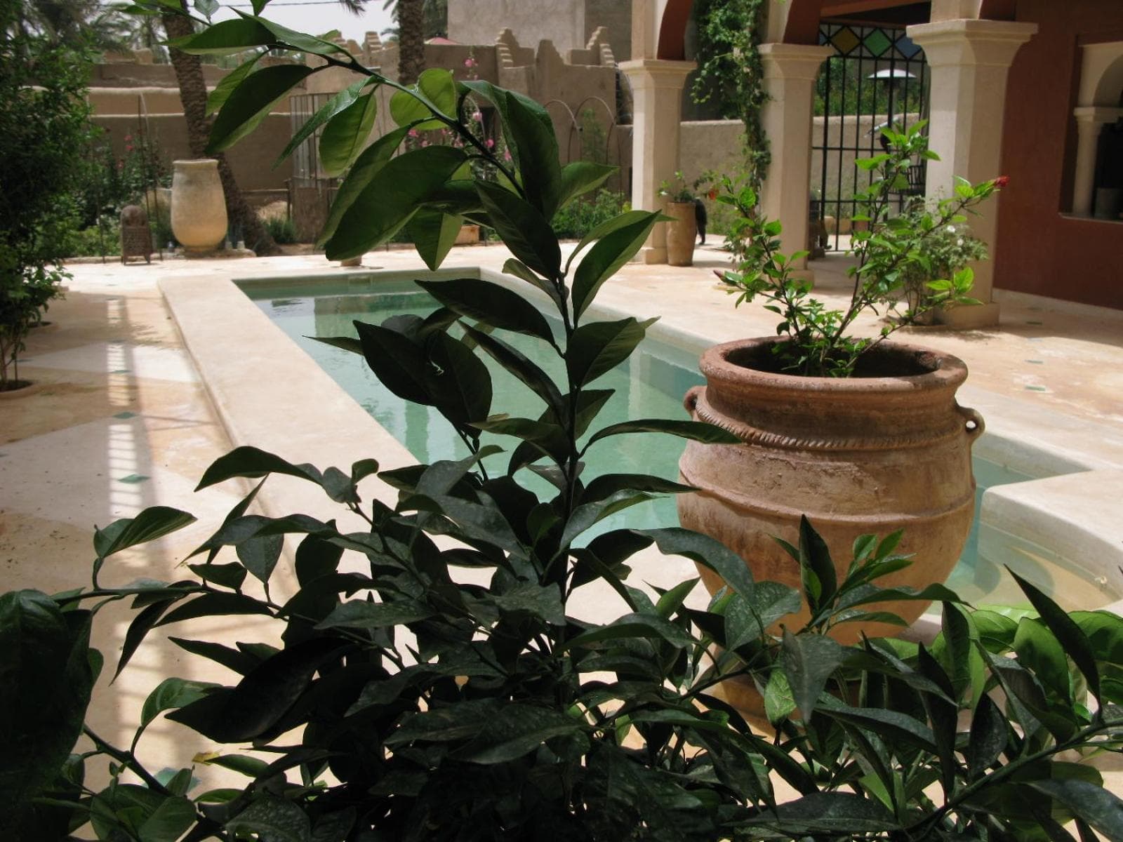 RIAD CHANT D'ETOILES tadighoust photo 6