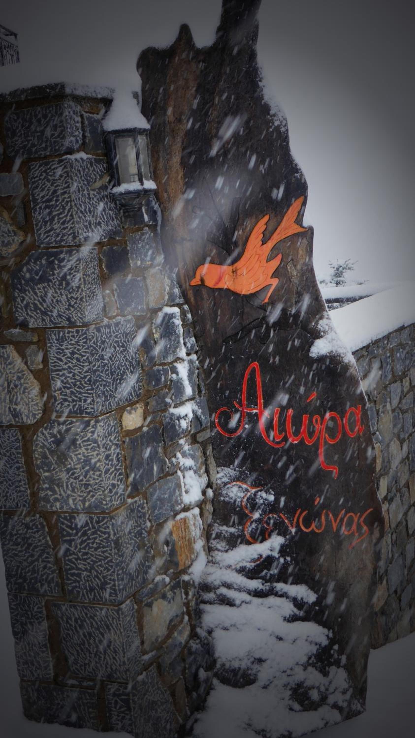 Aiora Guesthouse photo 4