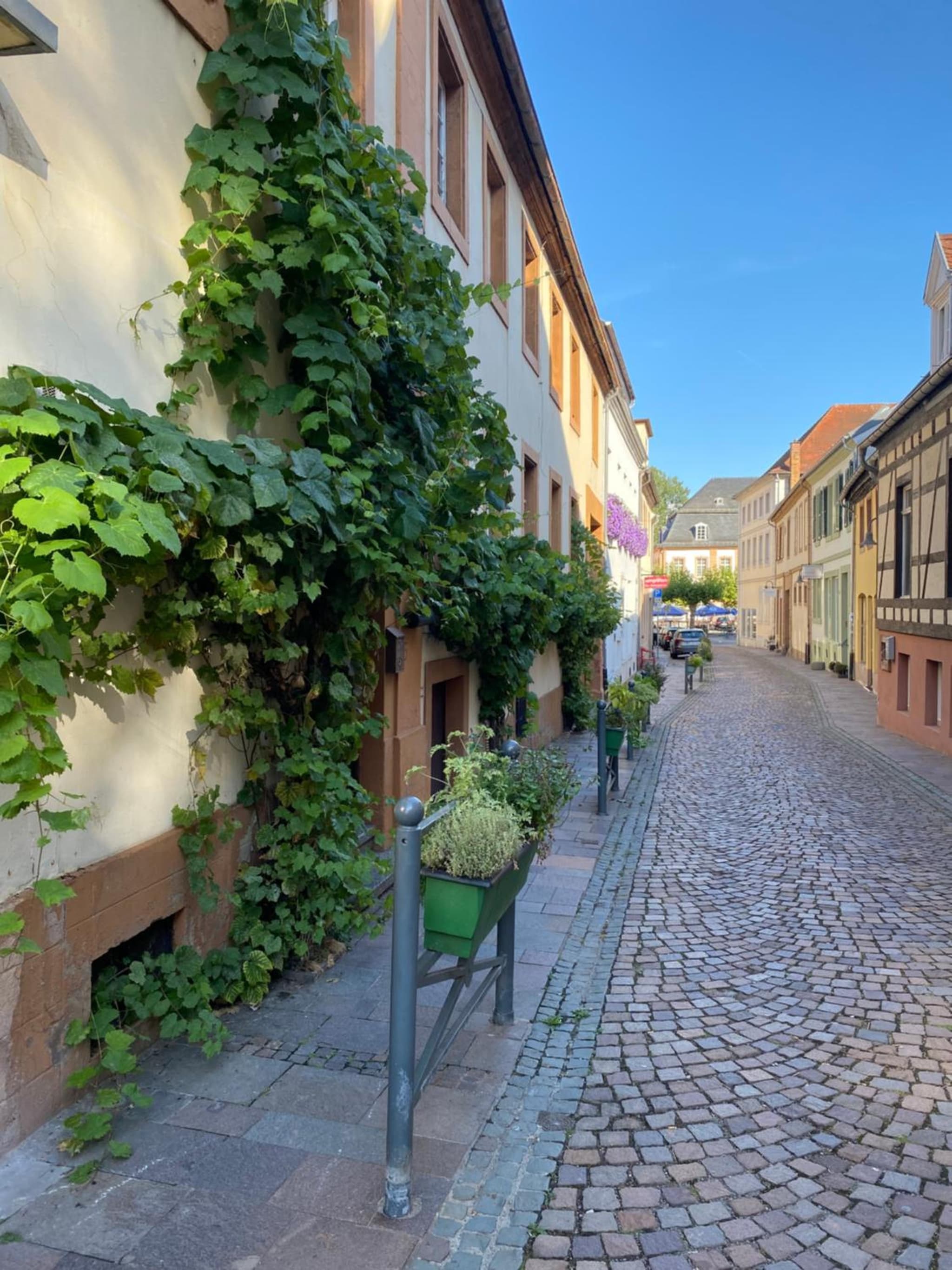 Hotel zur Post photo 7