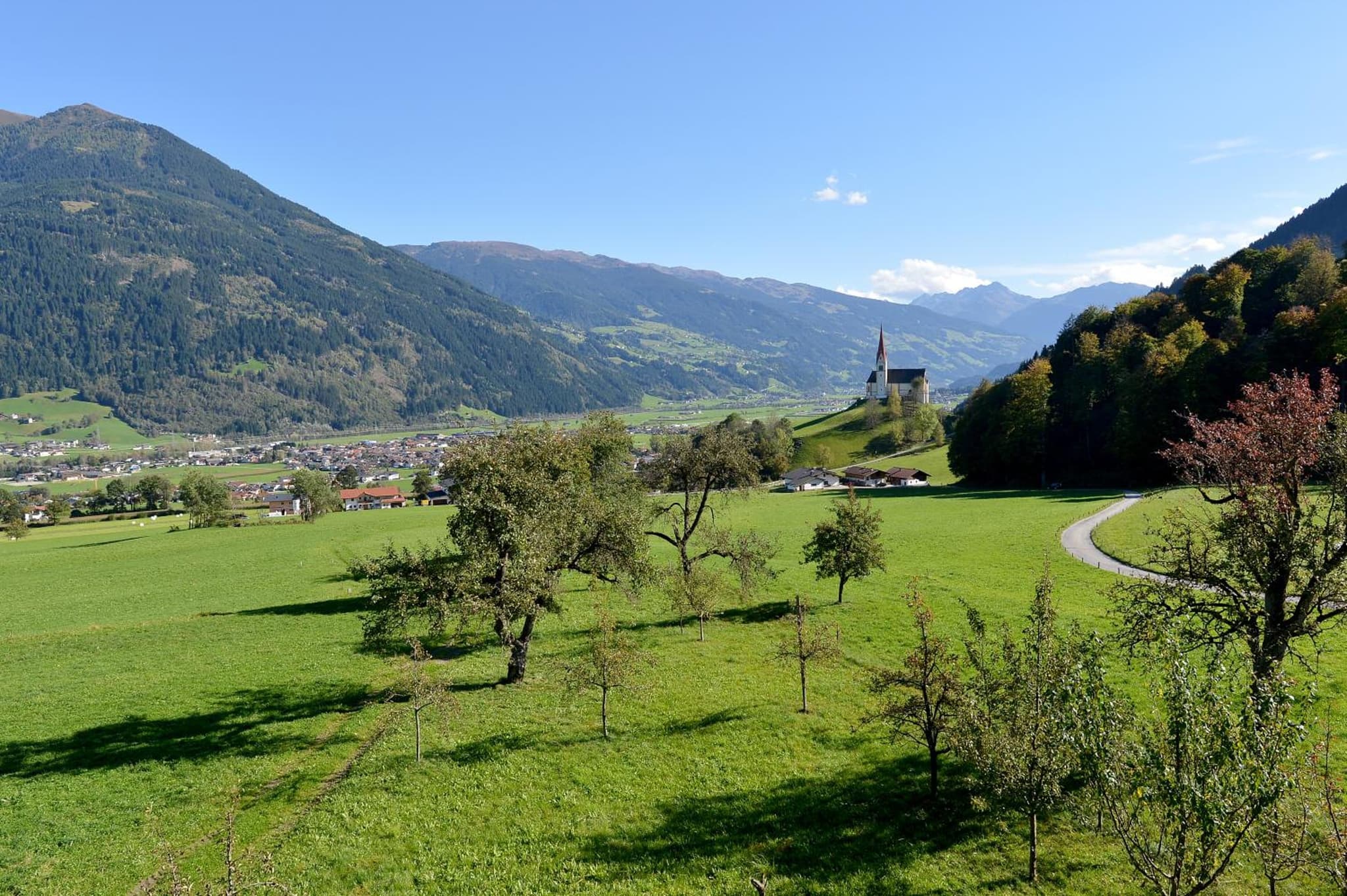 Riemenerhof photo 7