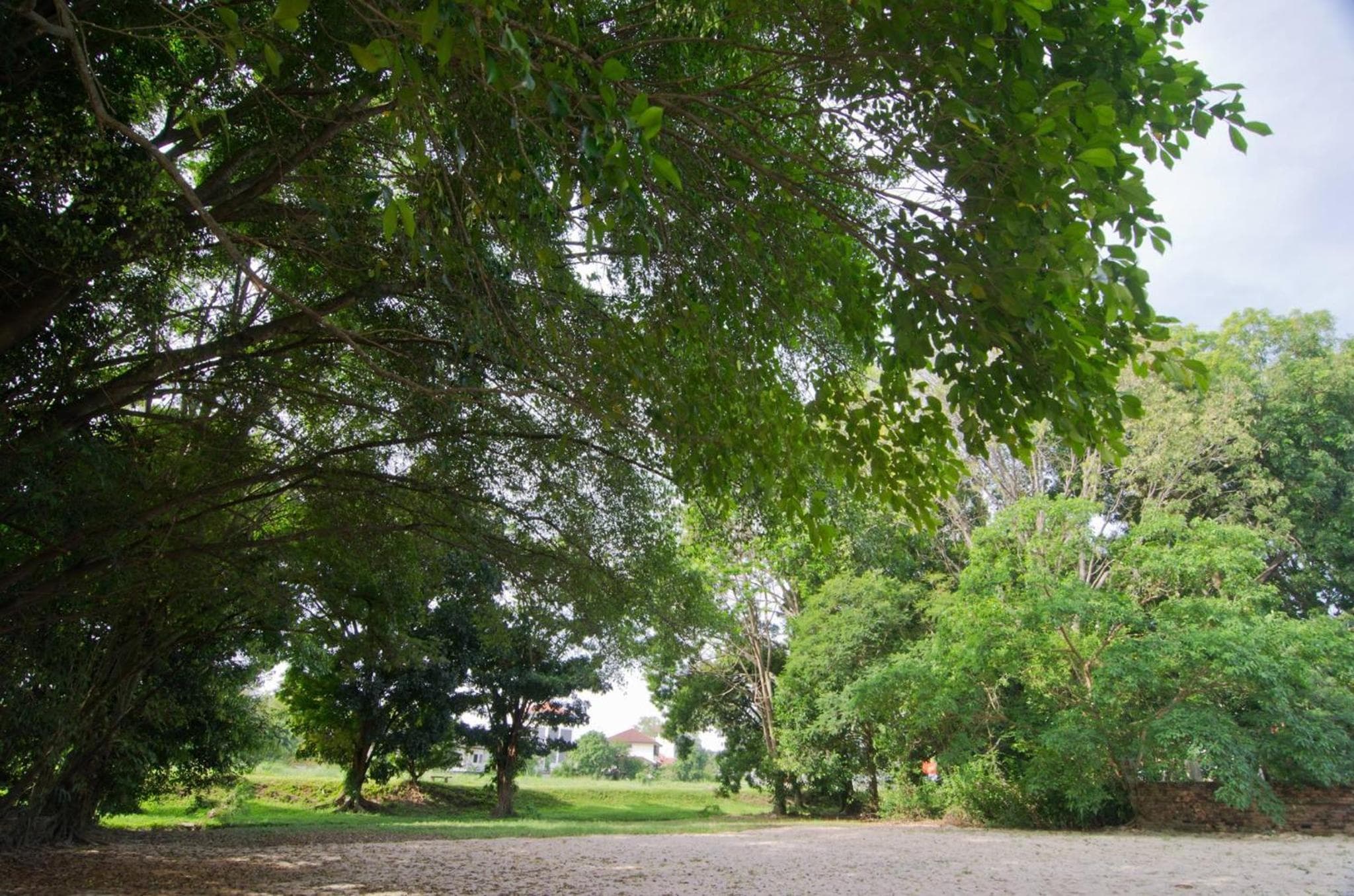 MyDream Guest House photo 6