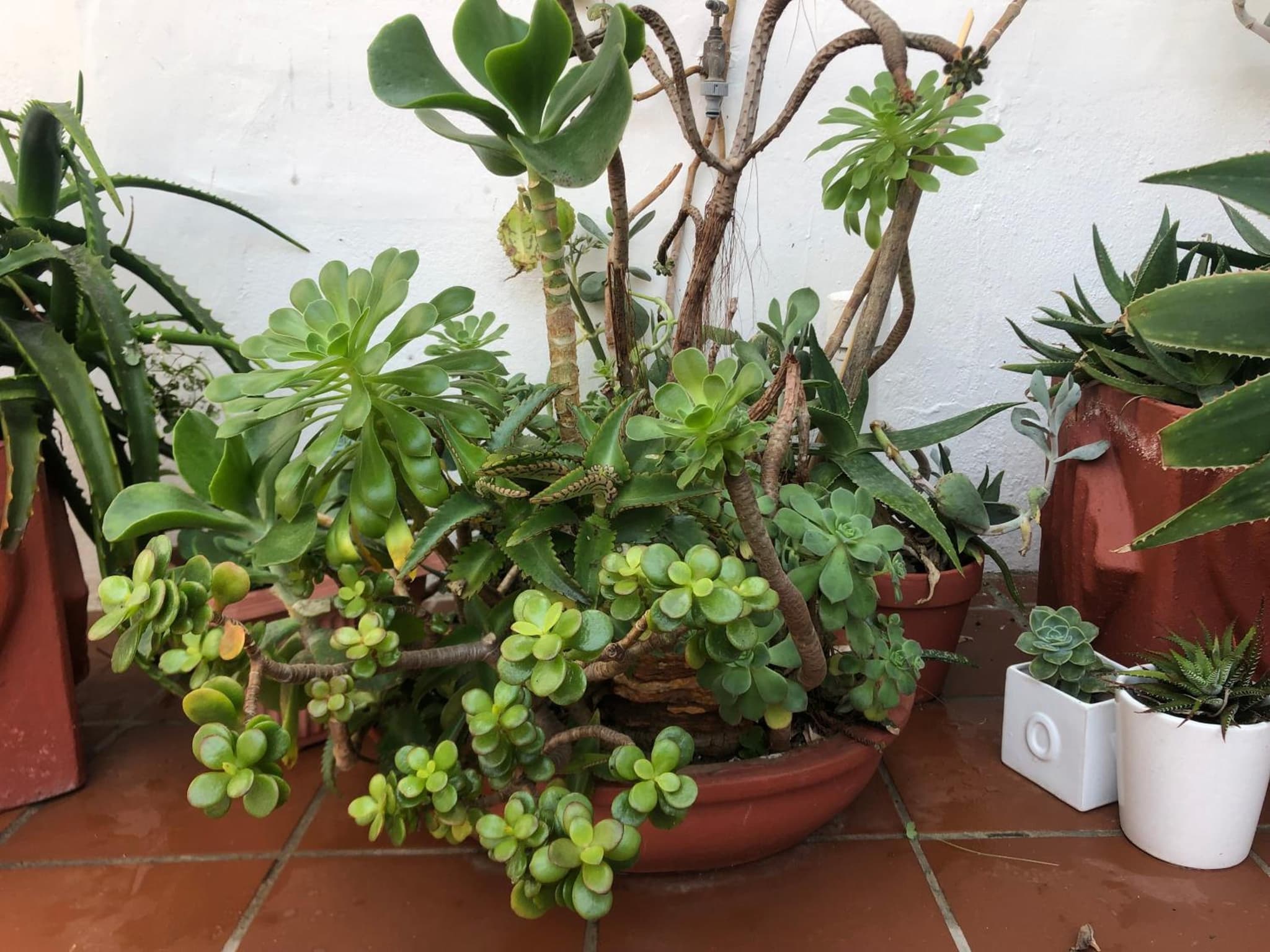 BlueSky Arniston Boutique Guesthouse photo 8