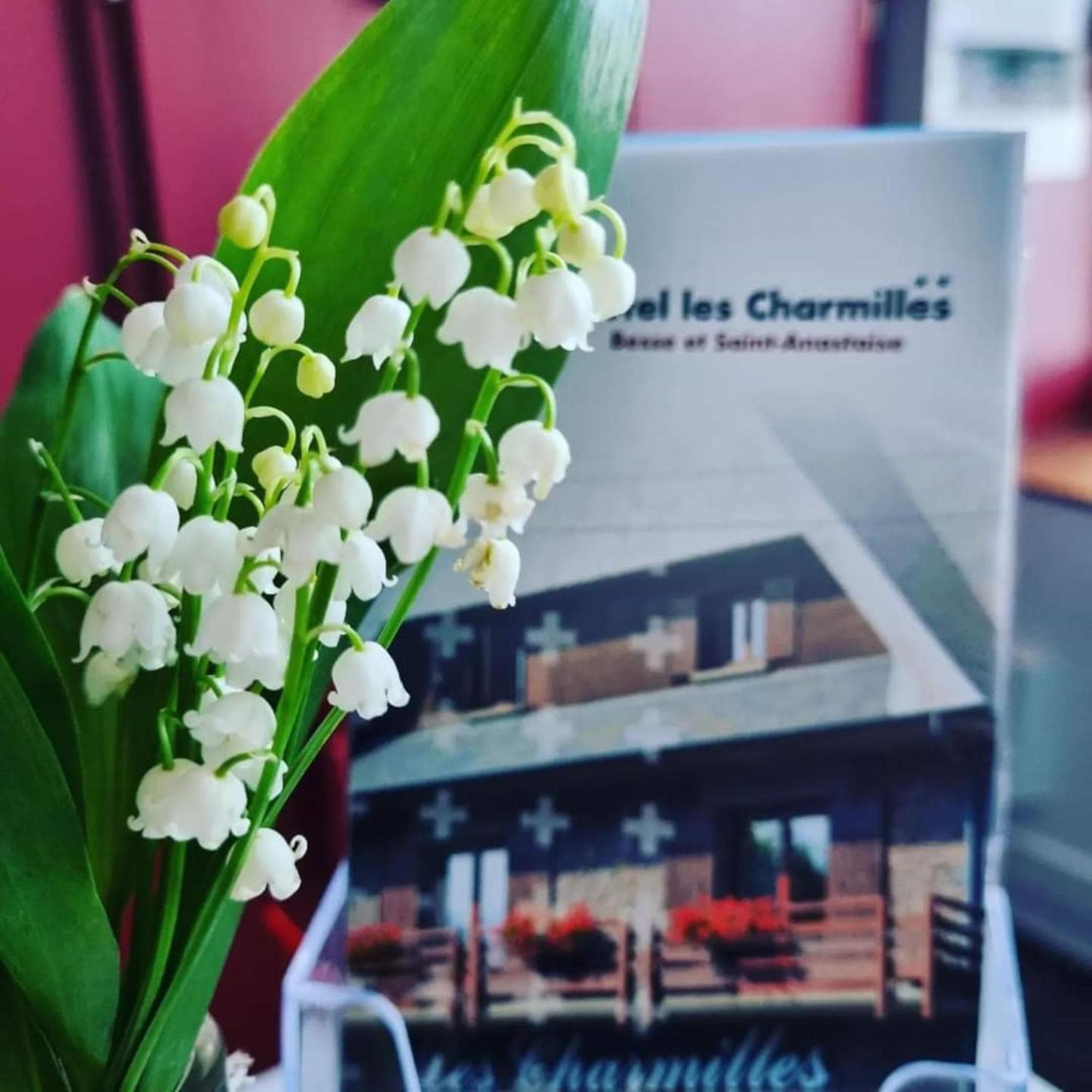 Hôtel Les Charmilles photo 8