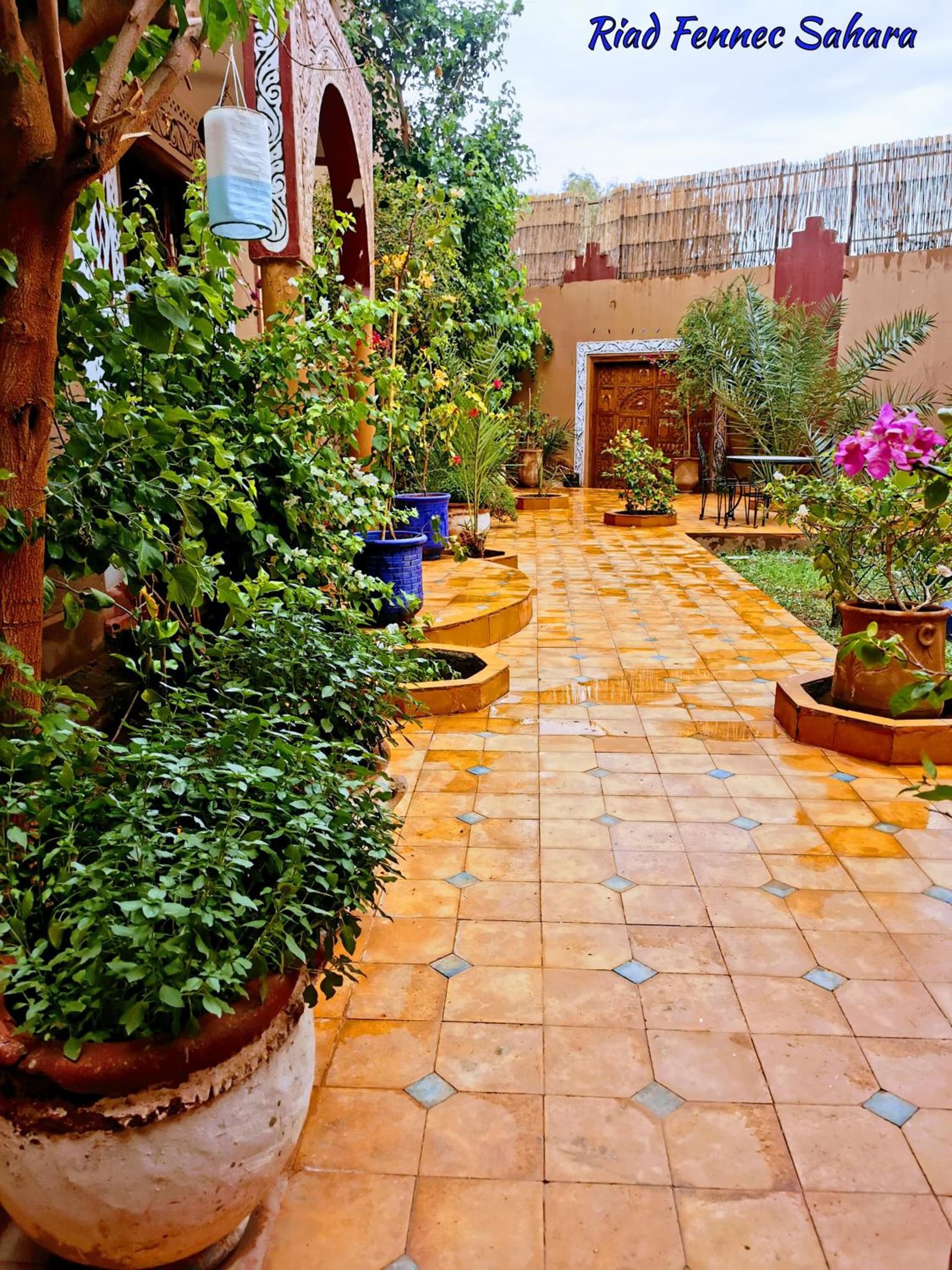 Riad Fennec Sahara photo 7