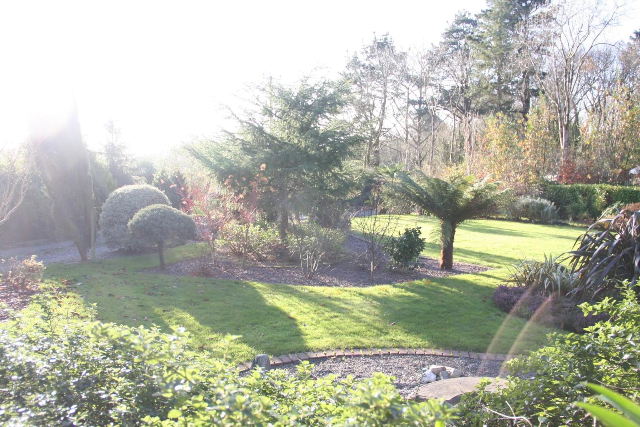 Lis-Ardagh Lodge photo 2