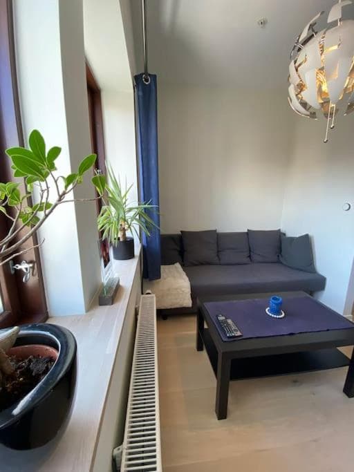 Moderne leilighet midt i sentrum av Fredrikstad photo 3