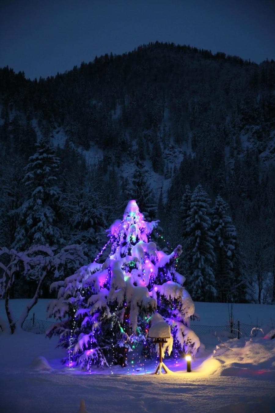 Alphotel Ettal photo 2